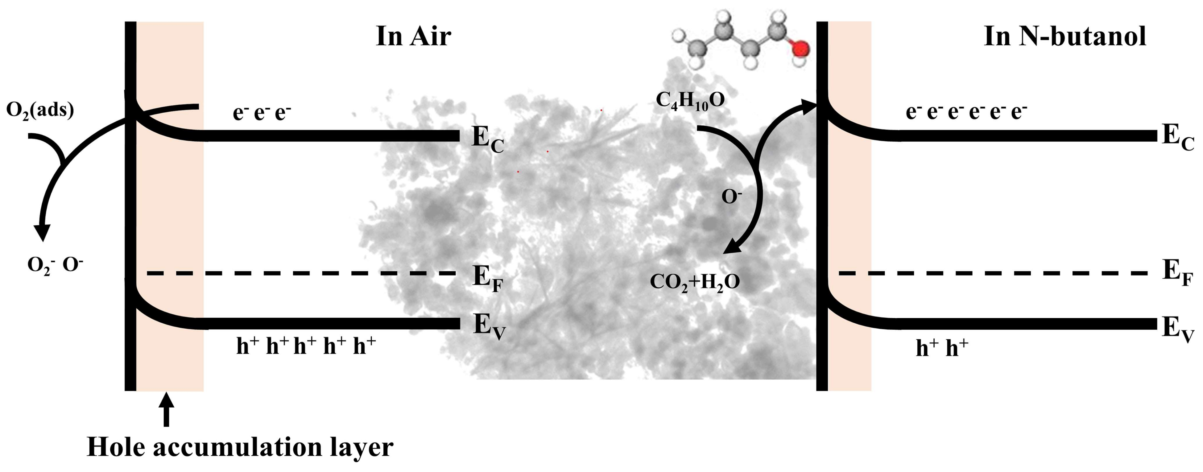 Chemosensors 13 00061 g014