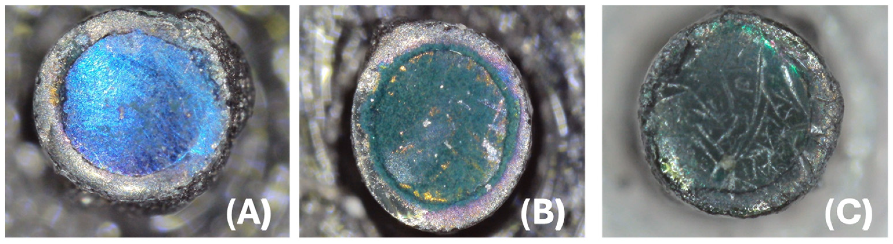 Chemosensors 13 00063 g001