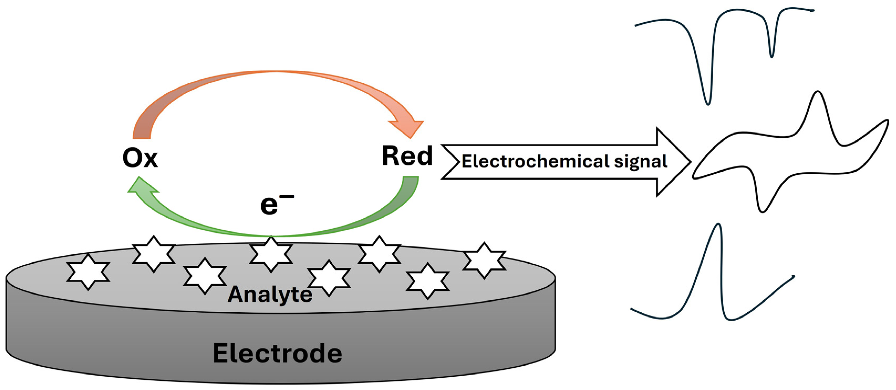 Chemosensors 13 00065 g002
