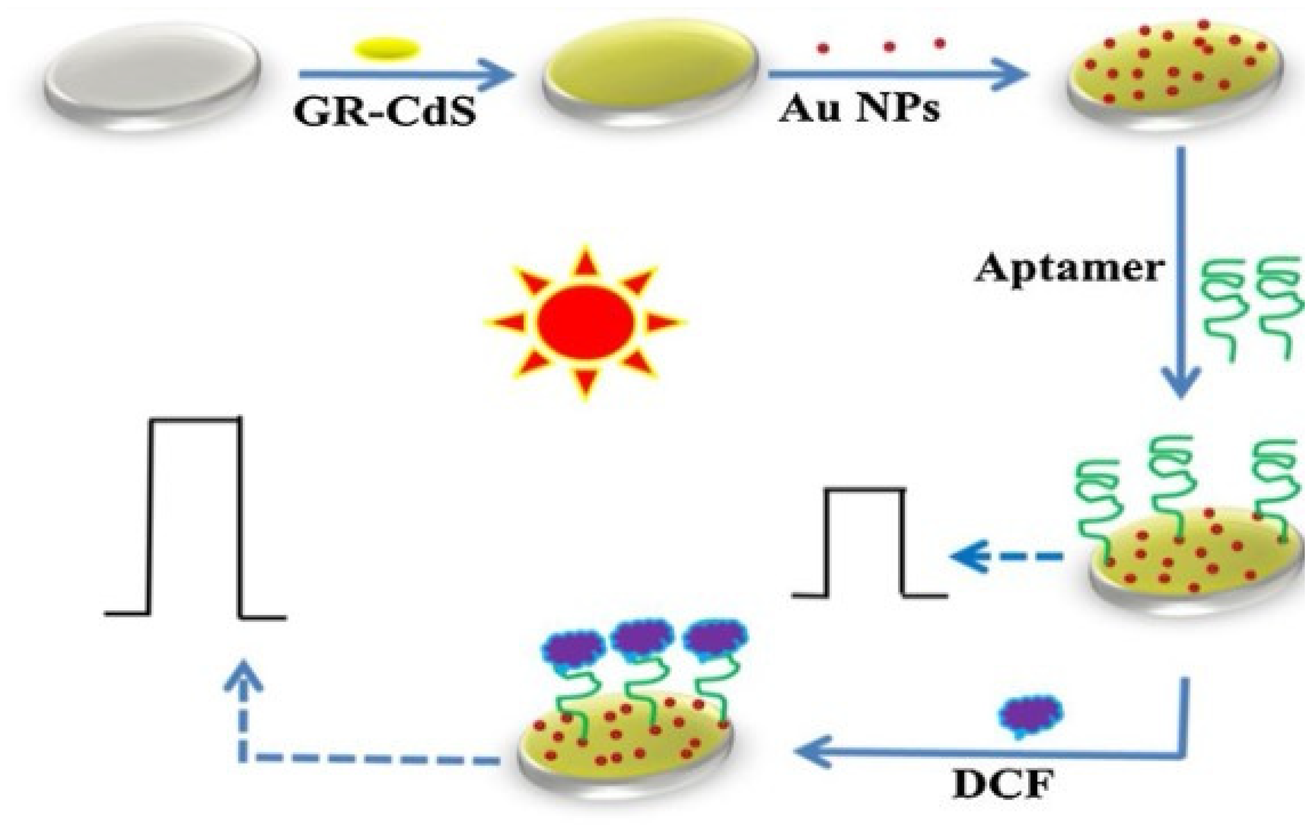 Chemosensors 13 00065 g007