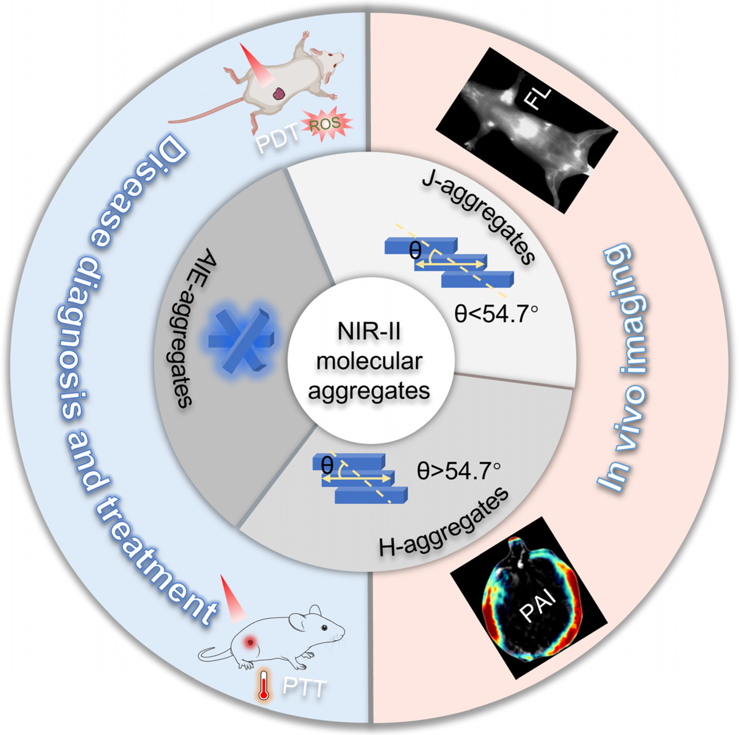 Chemosensors 13 00067 g001