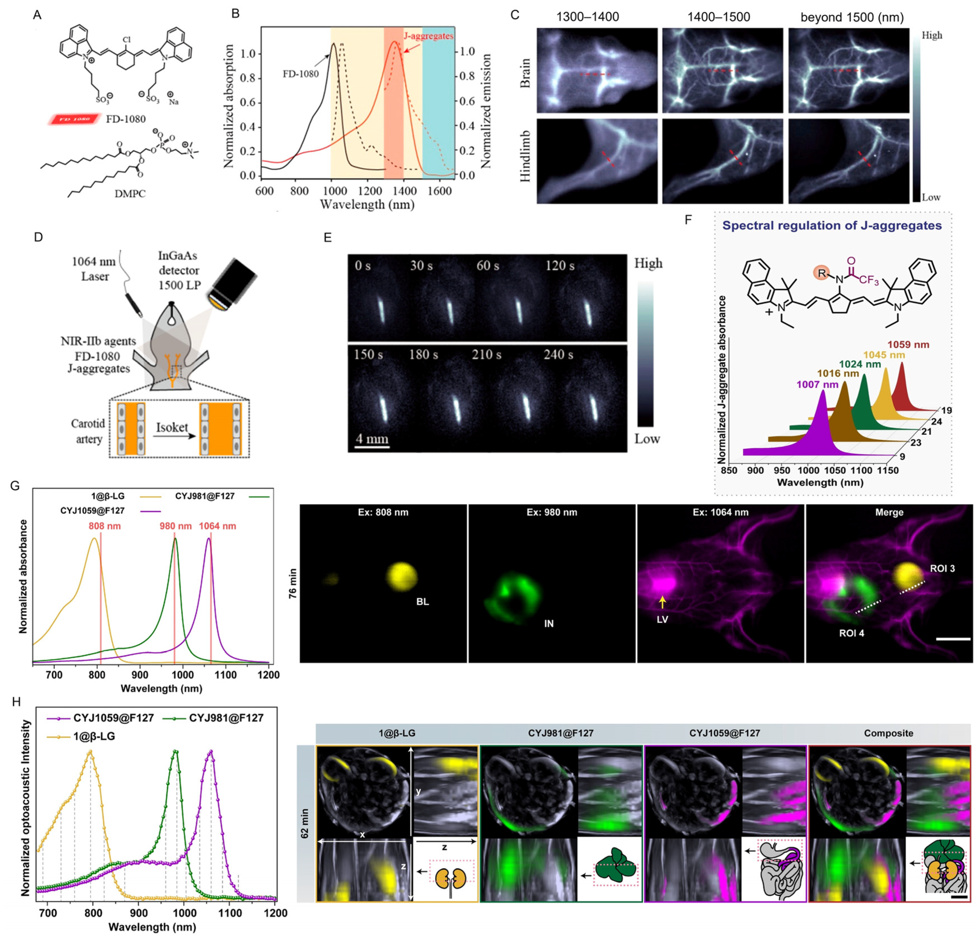 Chemosensors 13 00067 g006
