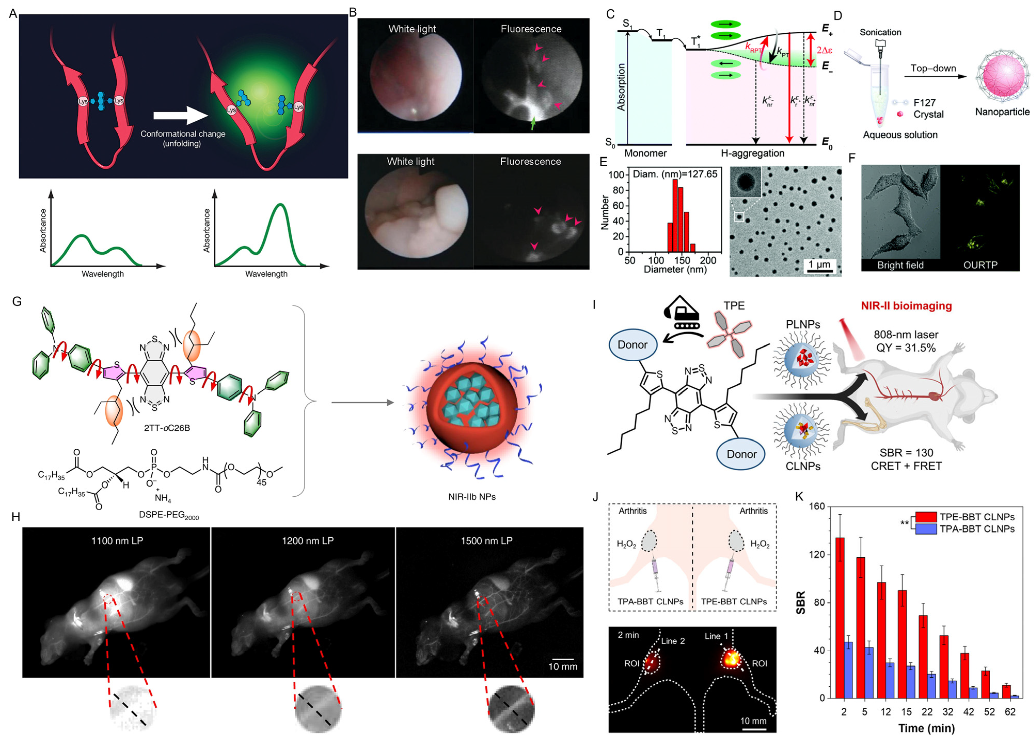 Chemosensors 13 00067 g007