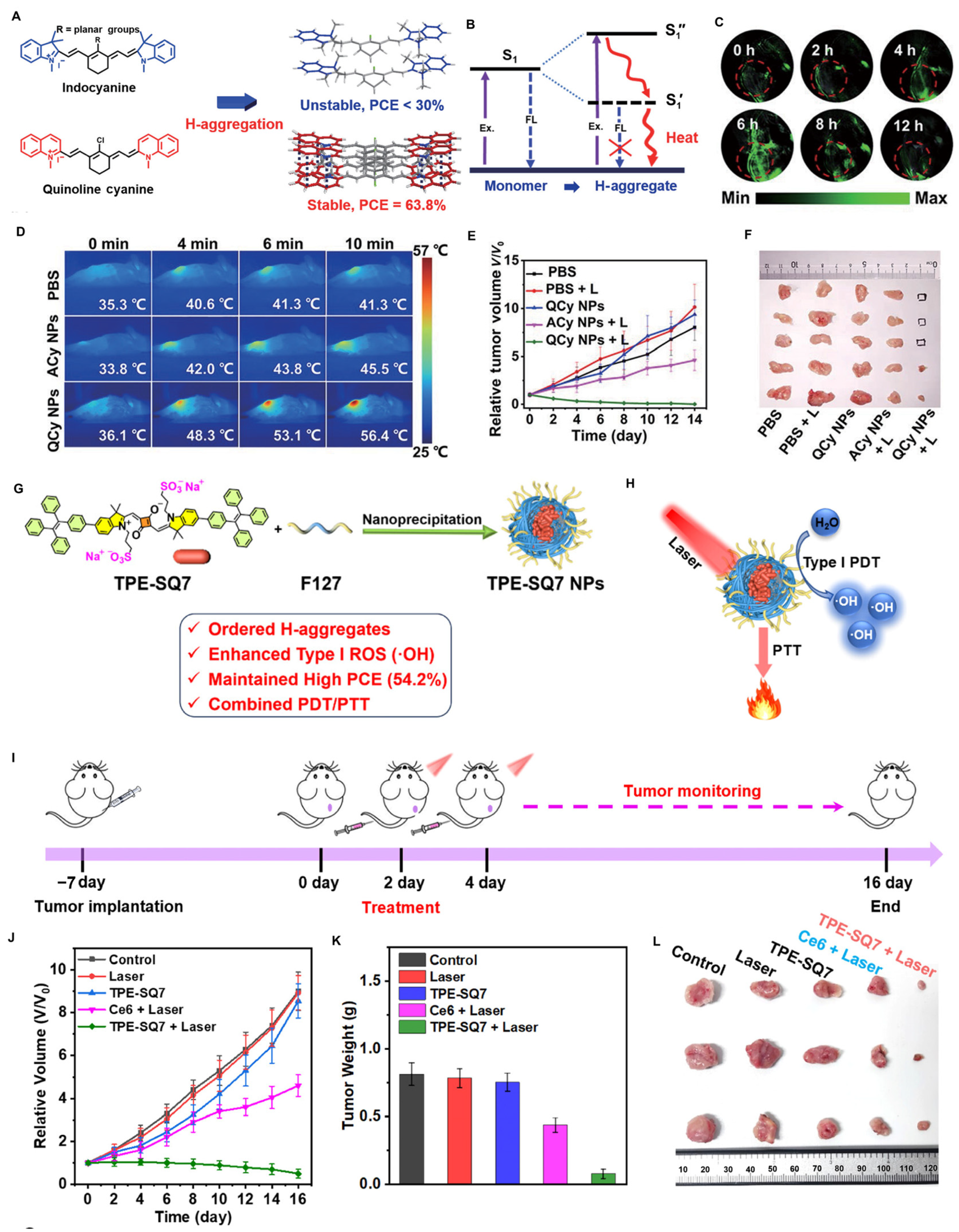 Chemosensors 13 00067 g009