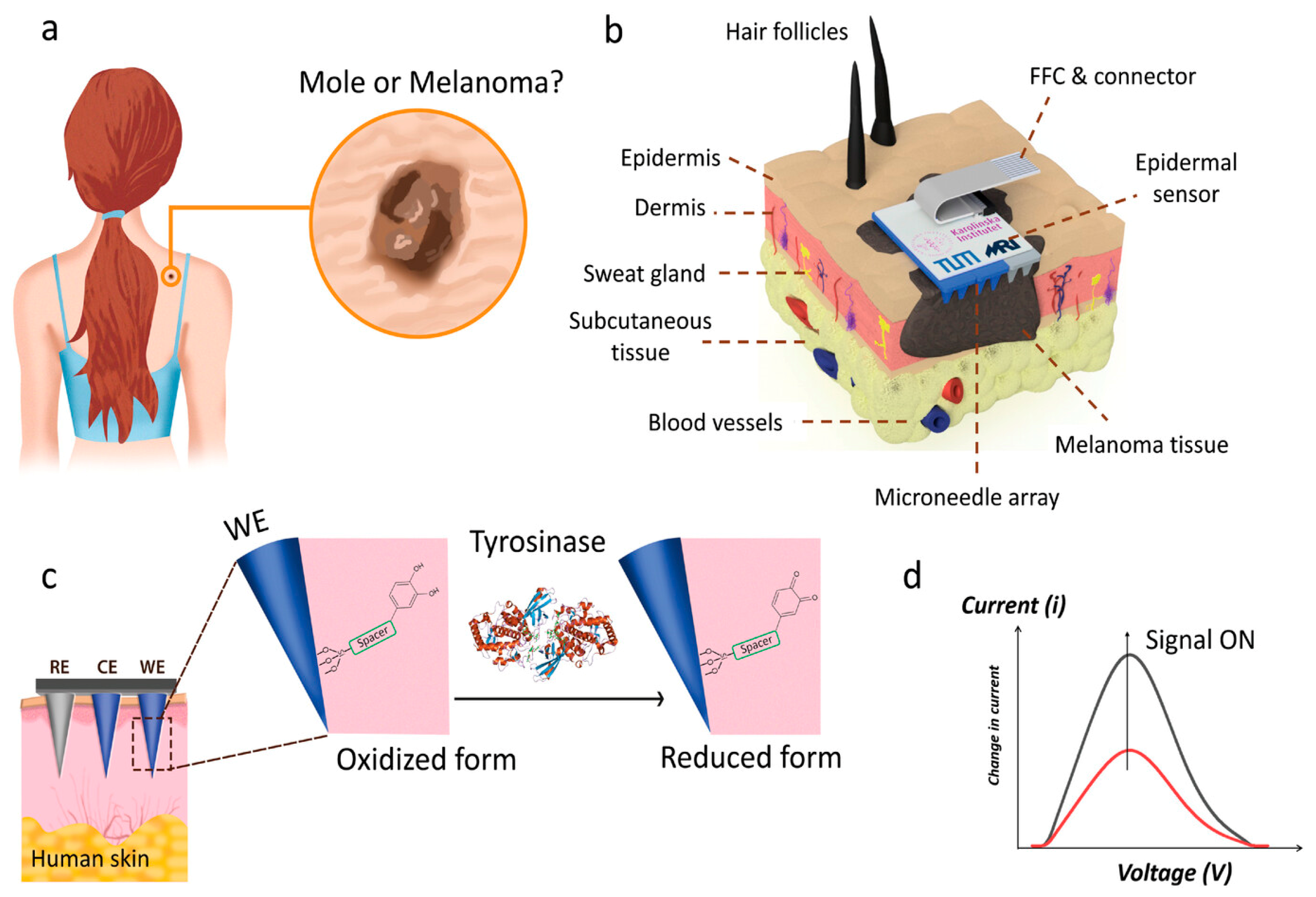 Chemosensors 13 00068 g001
