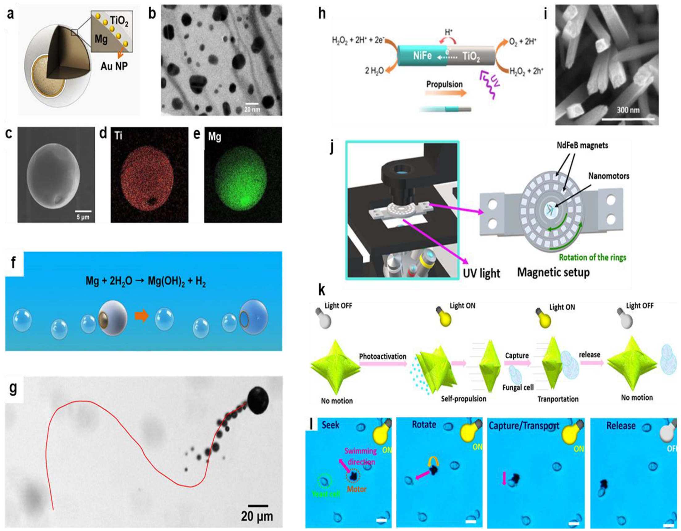Chemosensors 13 00069 g002