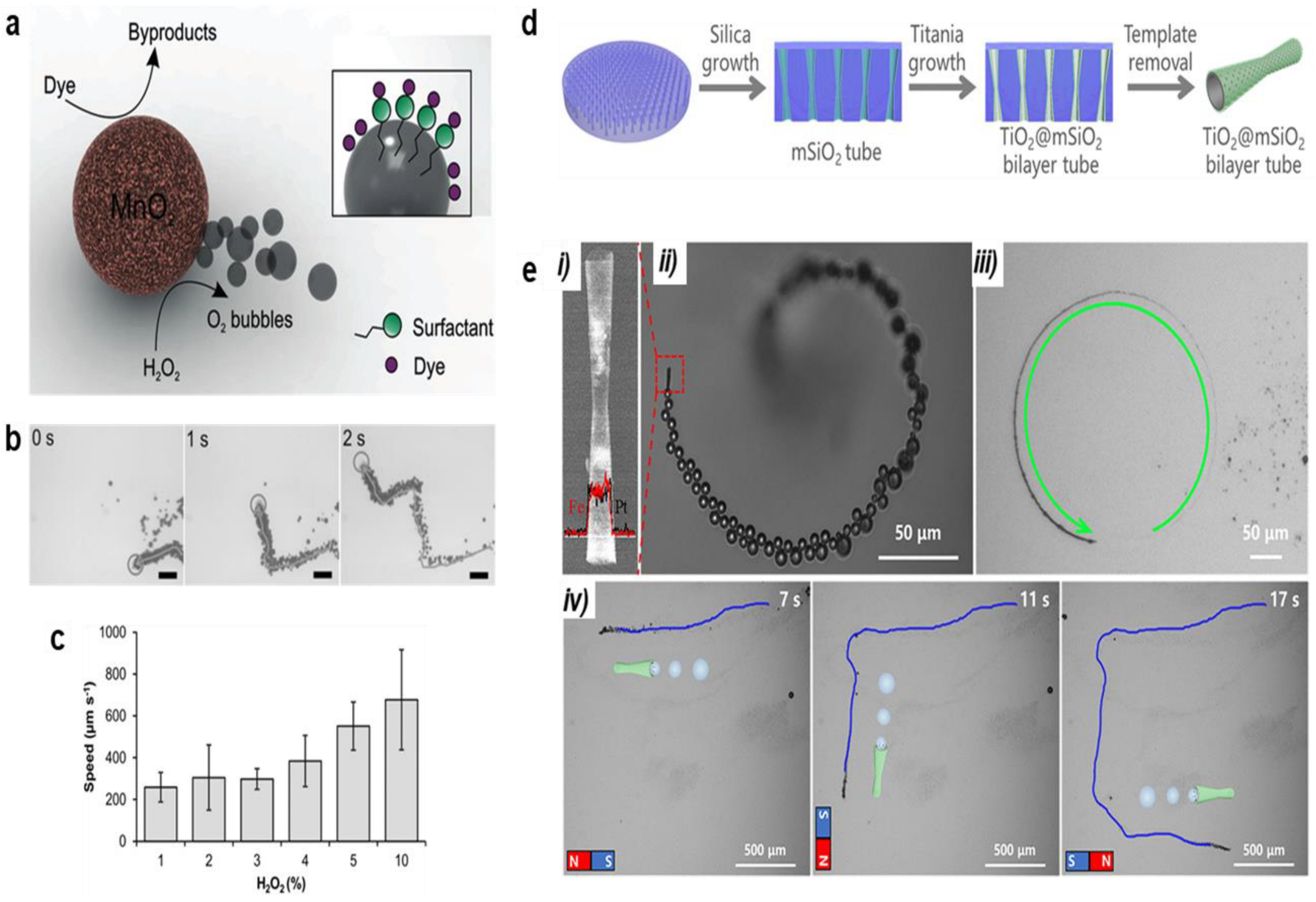 Chemosensors 13 00069 g004