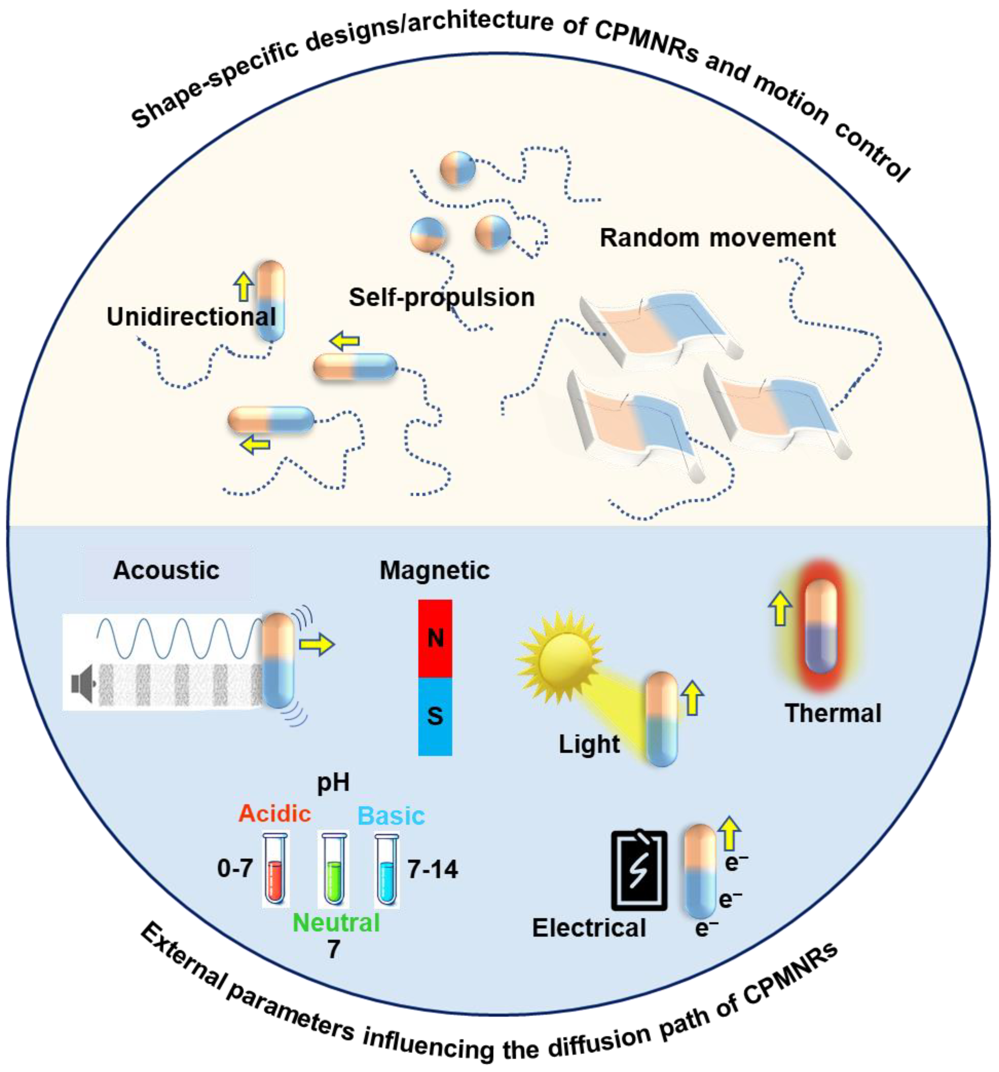 Chemosensors 13 00069 sch001