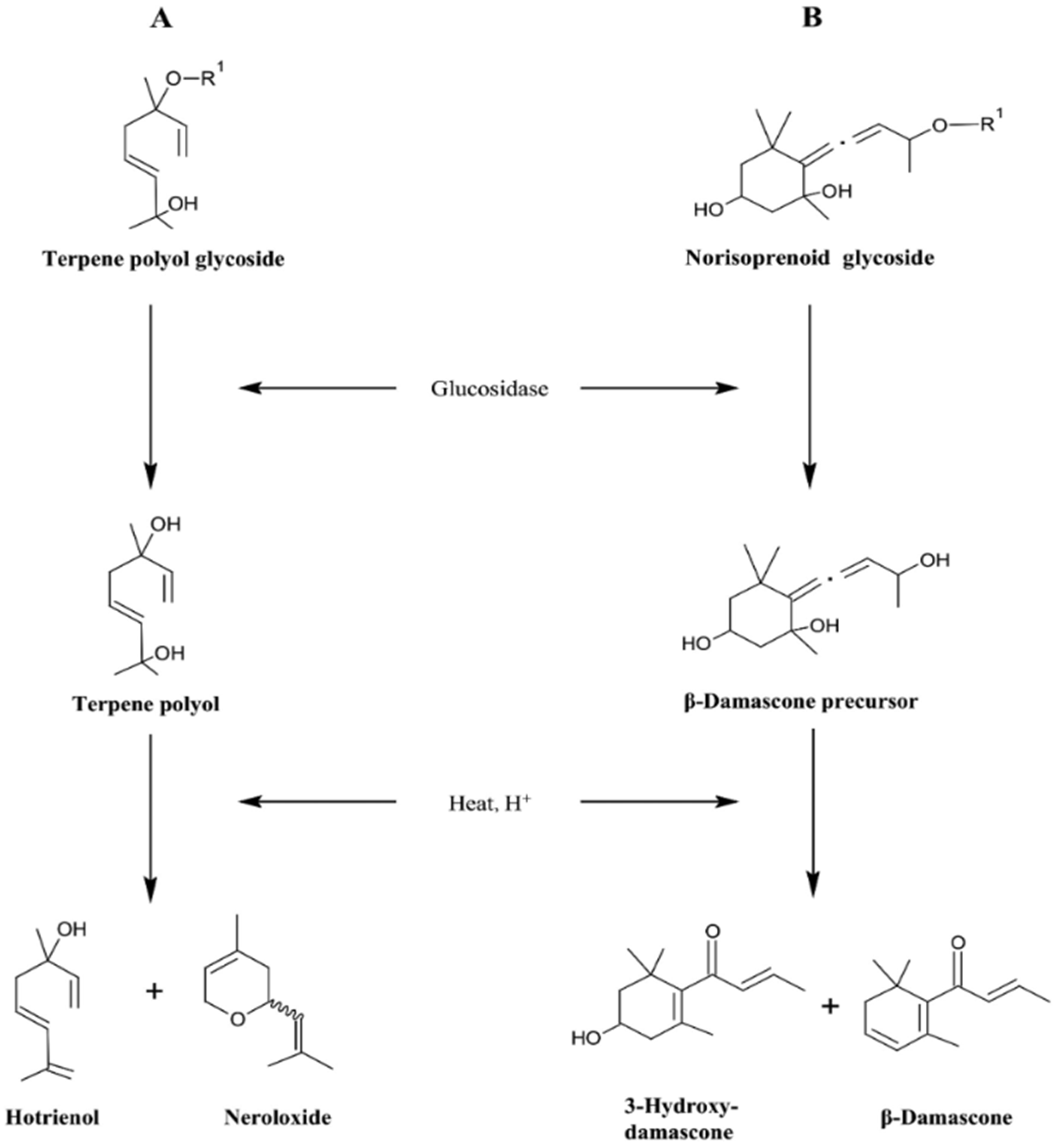 Chemosensors 13 00070 g001