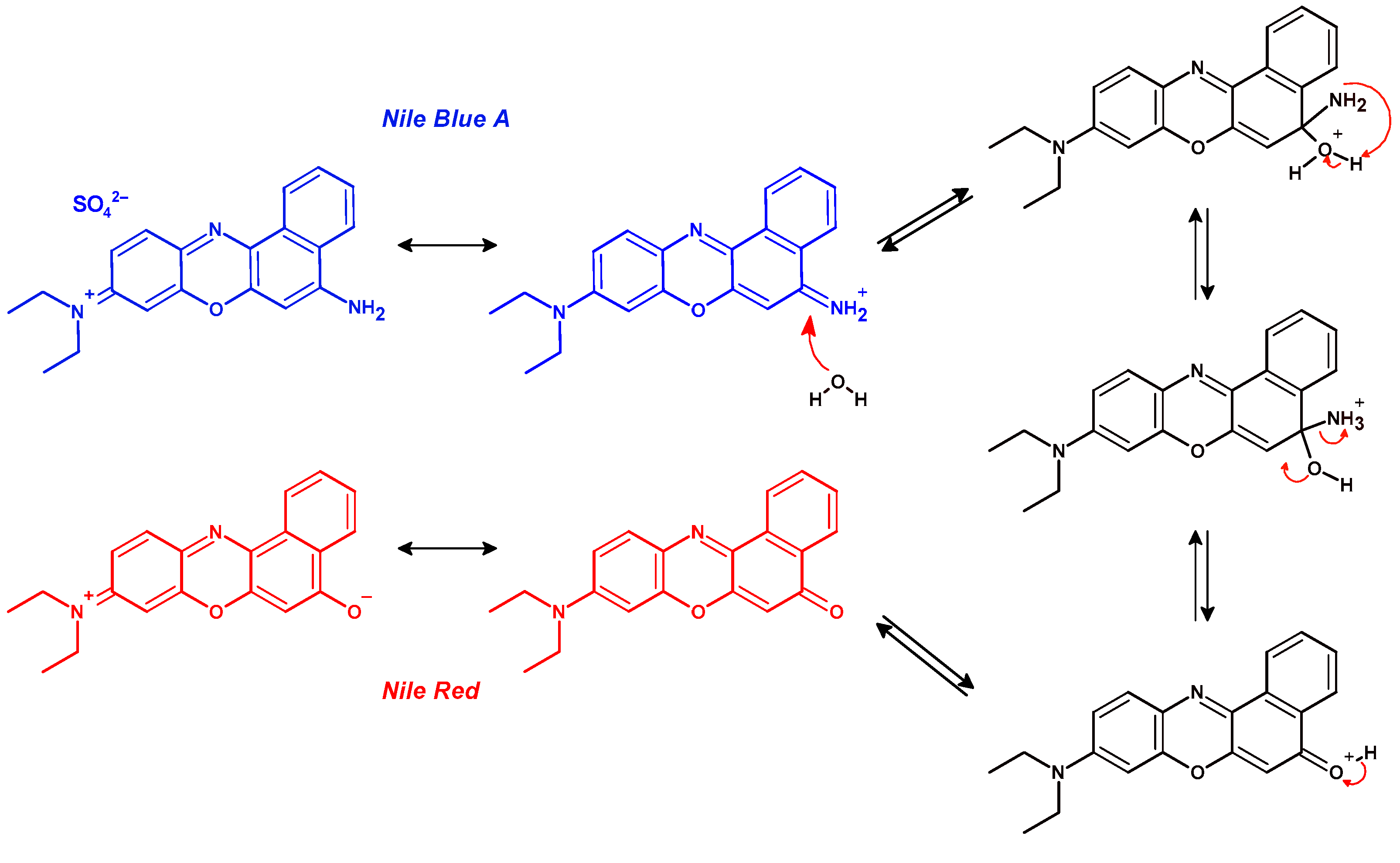 Chemosensors 13 00077 g001