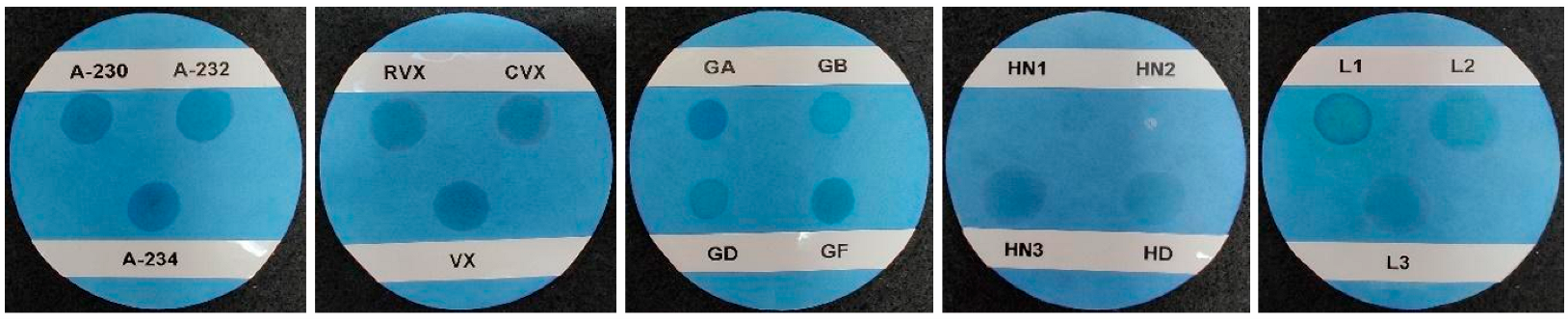 Chemosensors 13 00077 g005