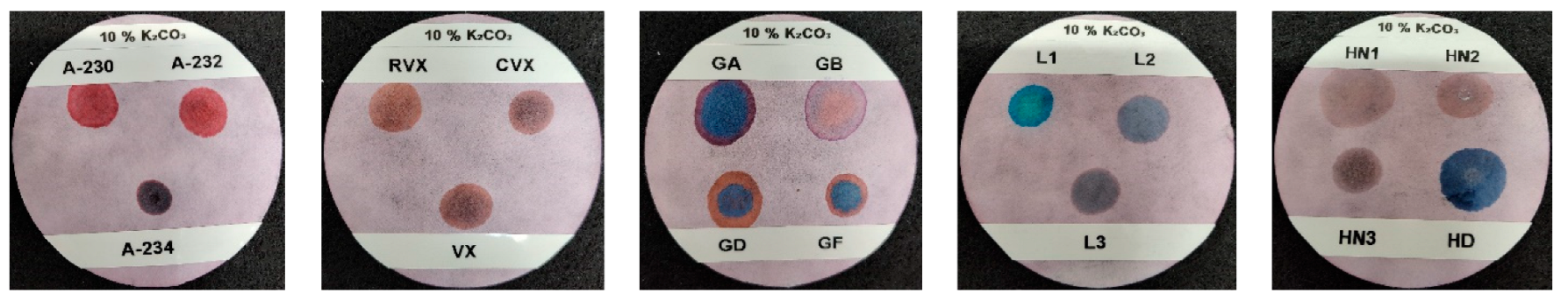 Chemosensors 13 00077 g010