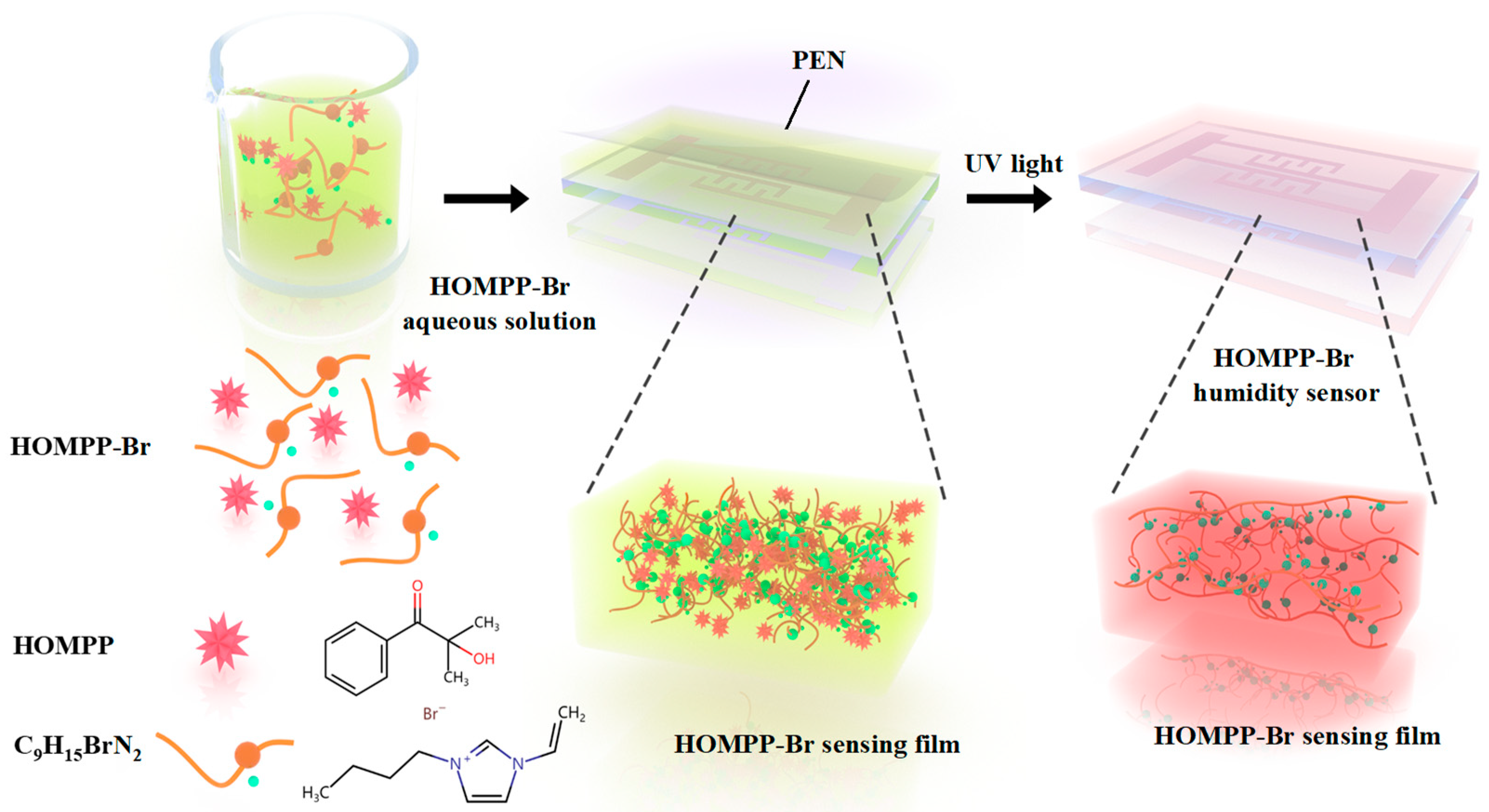 Chemosensors 13 00079 g001