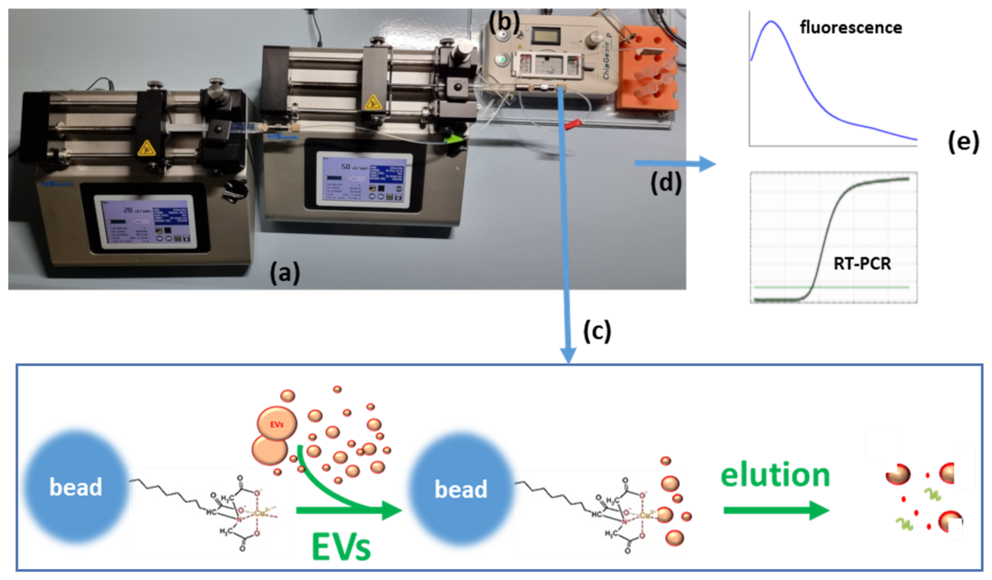 Chemosensors 13 00083 g001