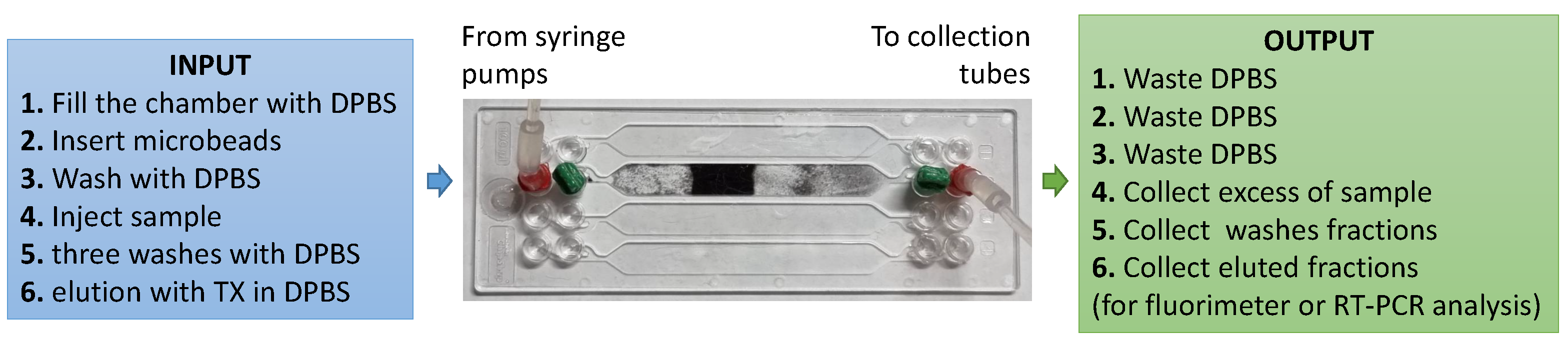 Chemosensors 13 00083 g006