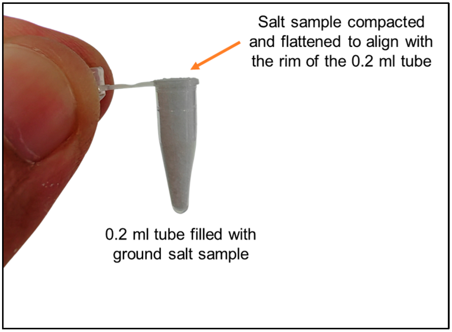 Chemosensors 13 00085 g002