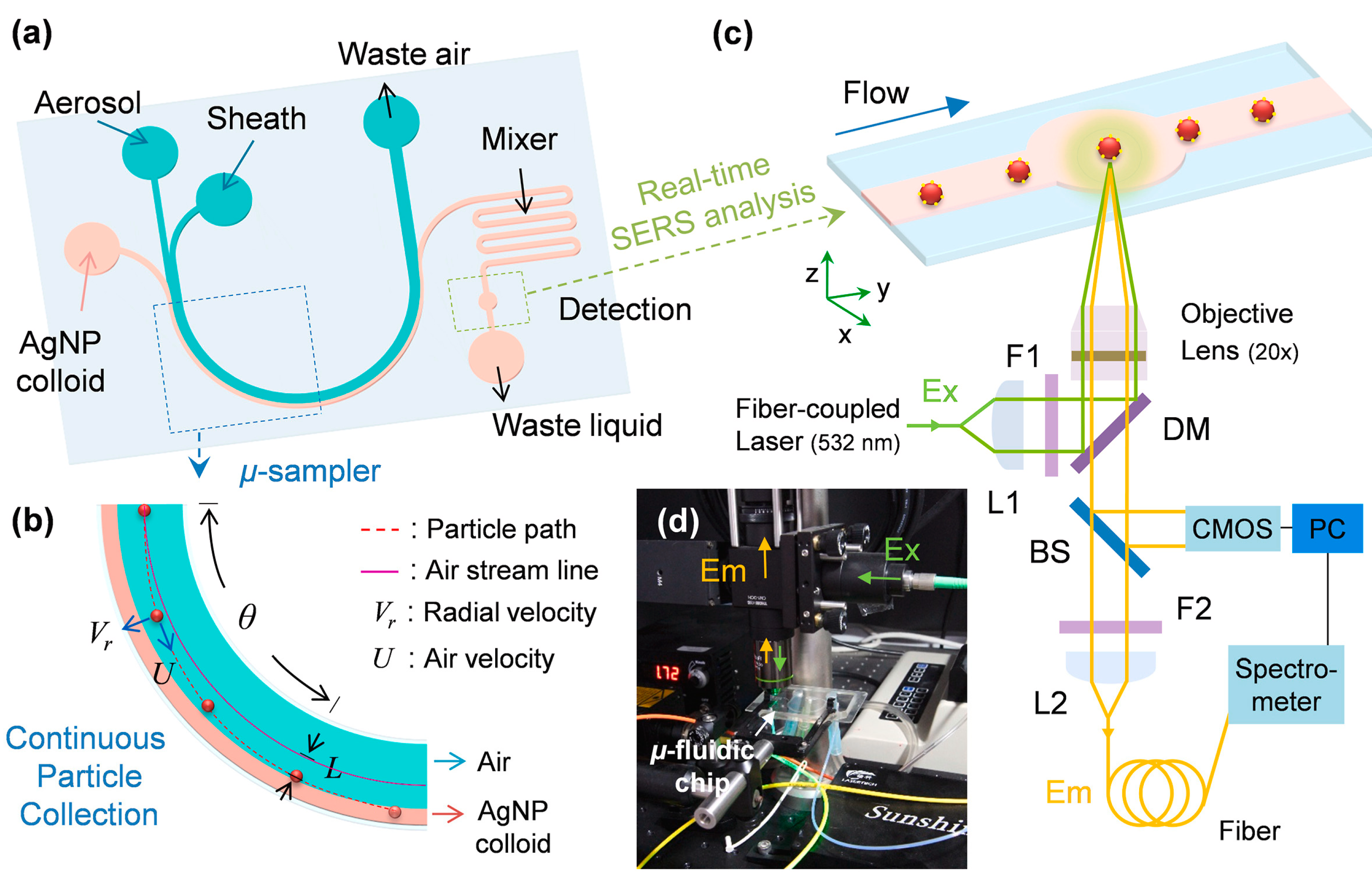 Chemosensors 13 00086 g003