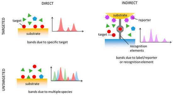 Chemosensors 13 00086 g004