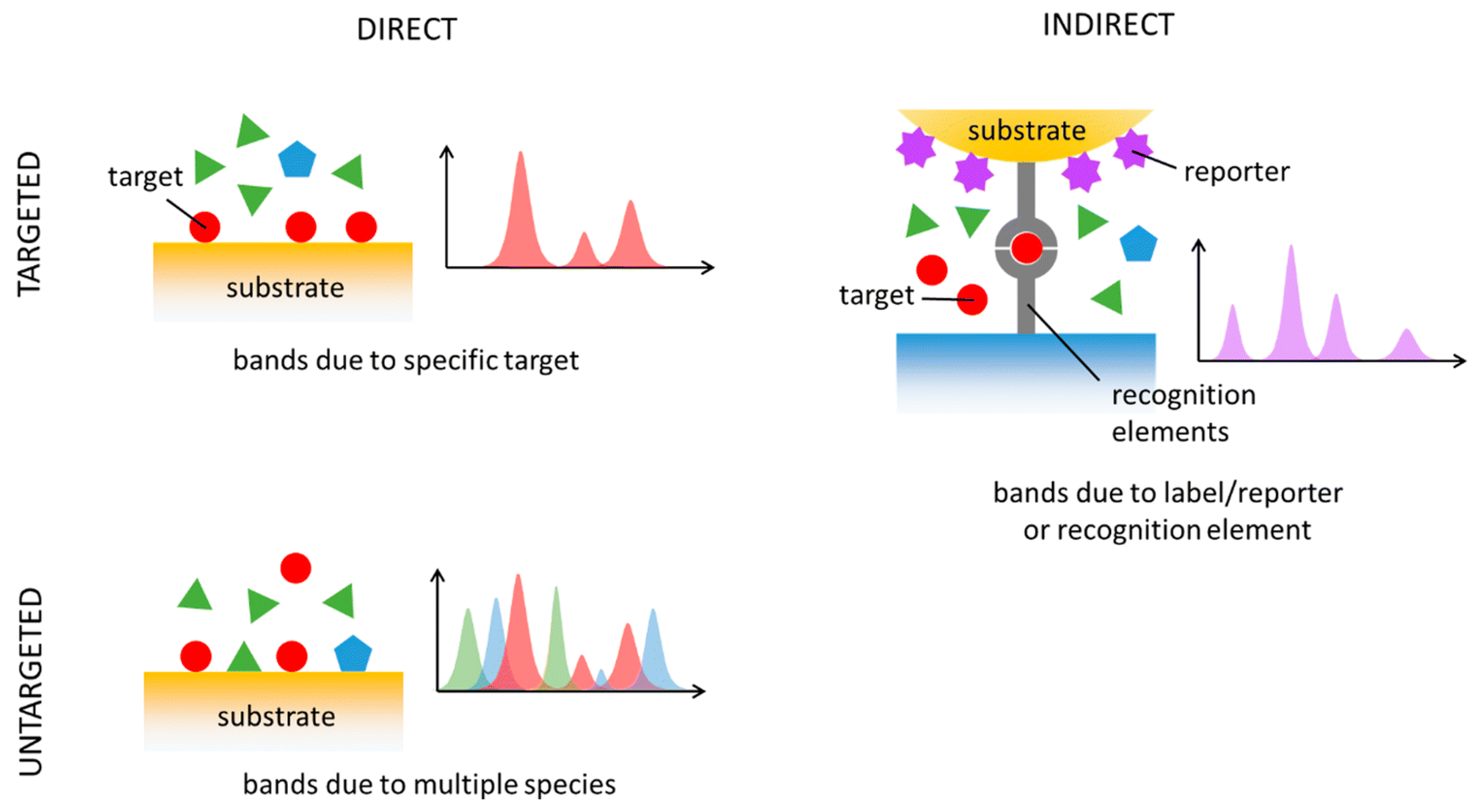 Chemosensors 13 00086 g004
