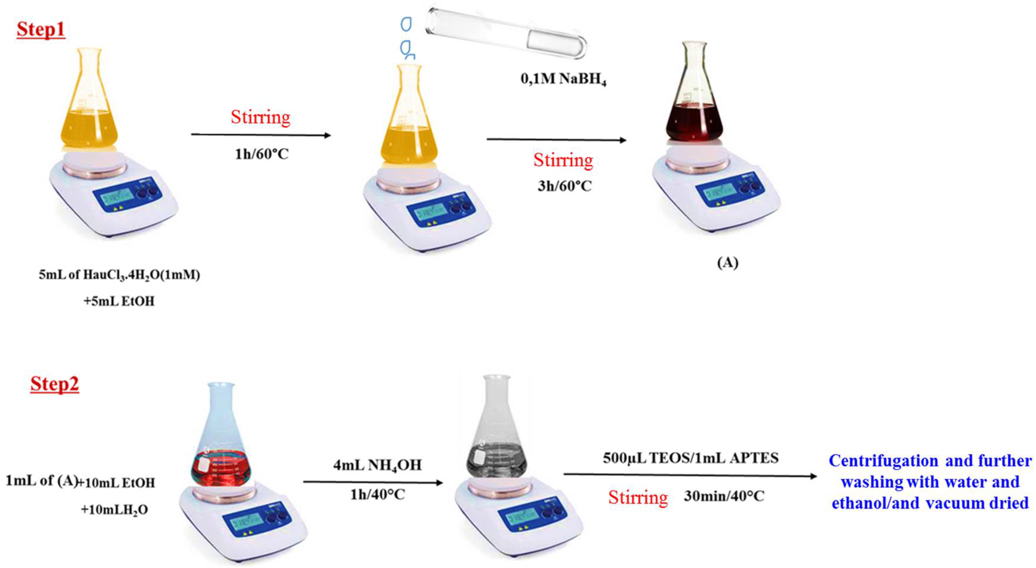 Chemosensors 13 00087 g001
