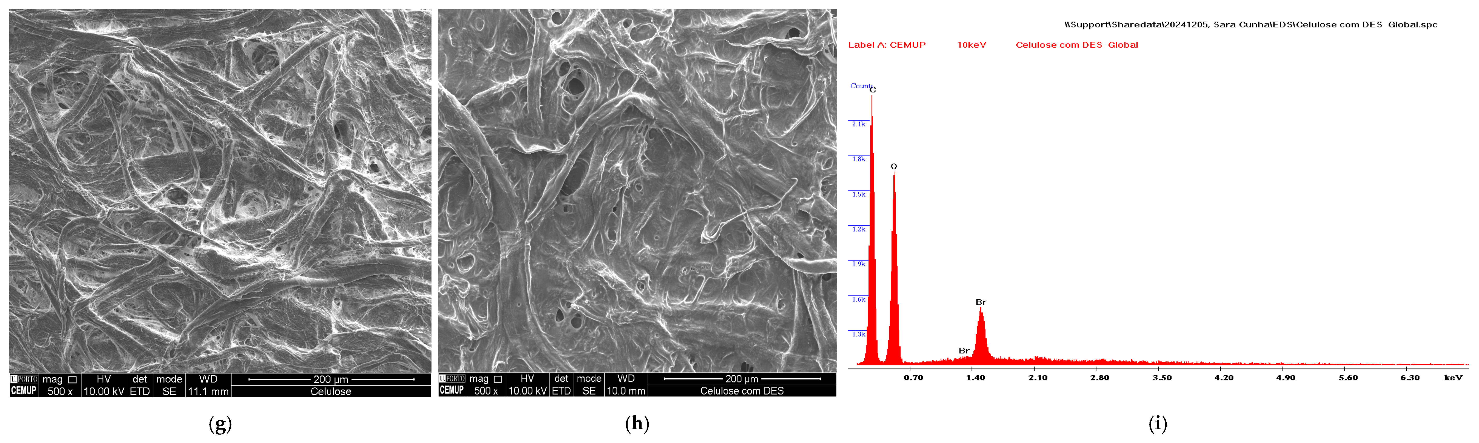 Chemosensors 13 00088 g002b