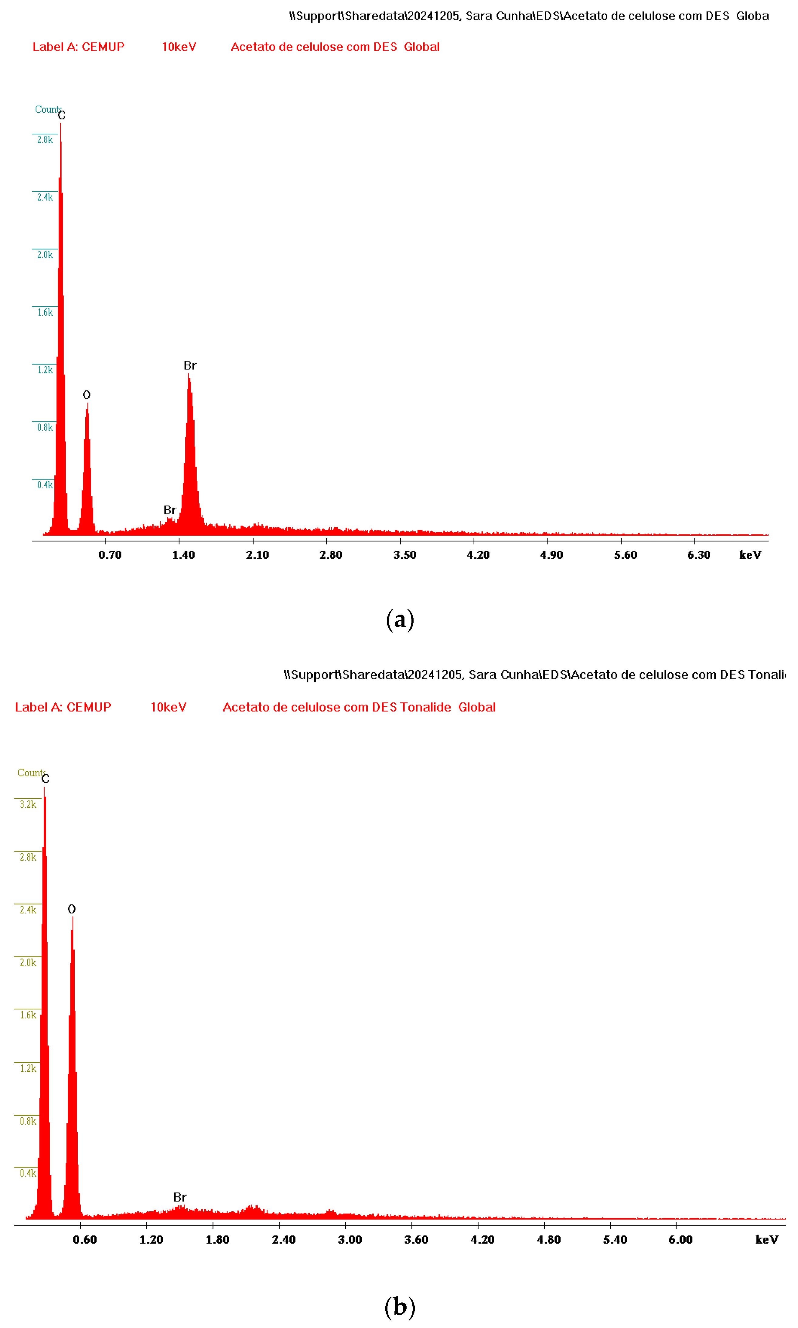 Chemosensors 13 00088 g005