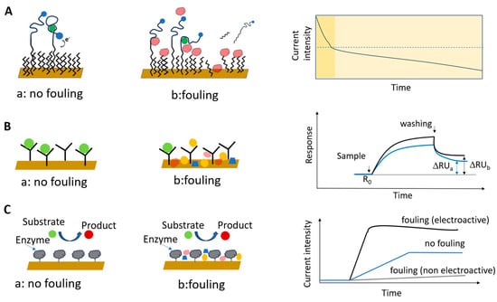 Chemosensors 13 00092 g001