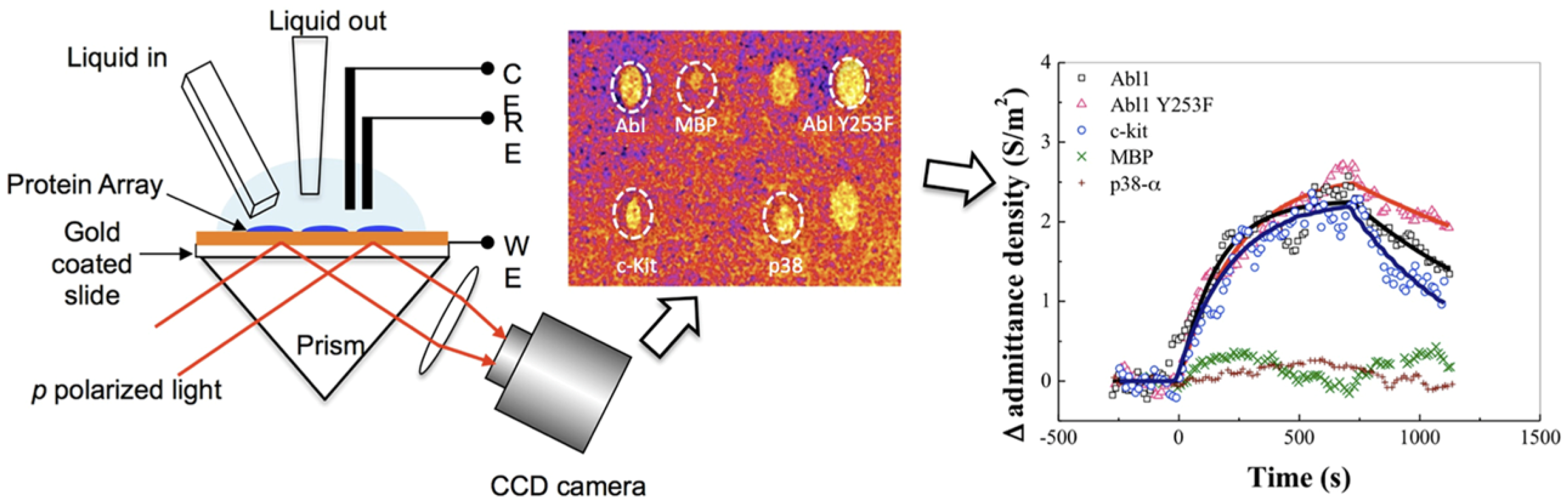 Chemosensors 13 00092 g013