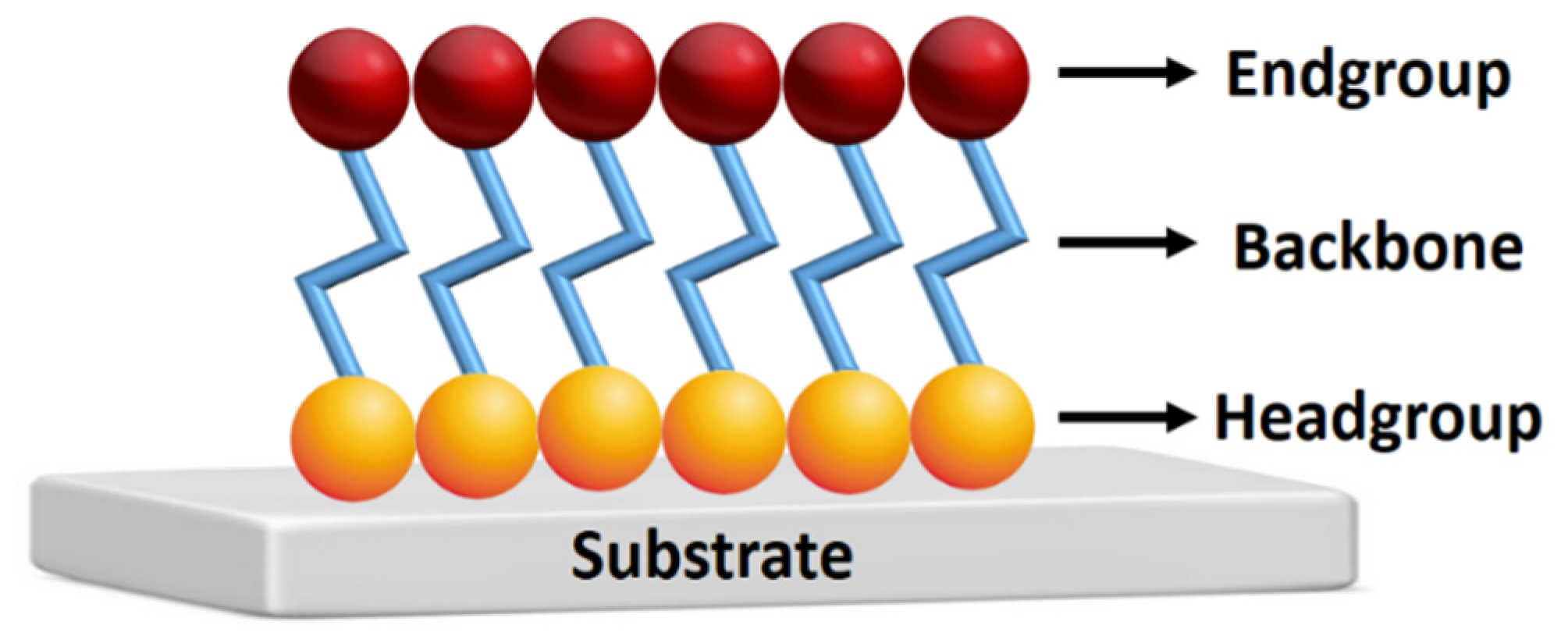 Chemosensors 13 00093 g001