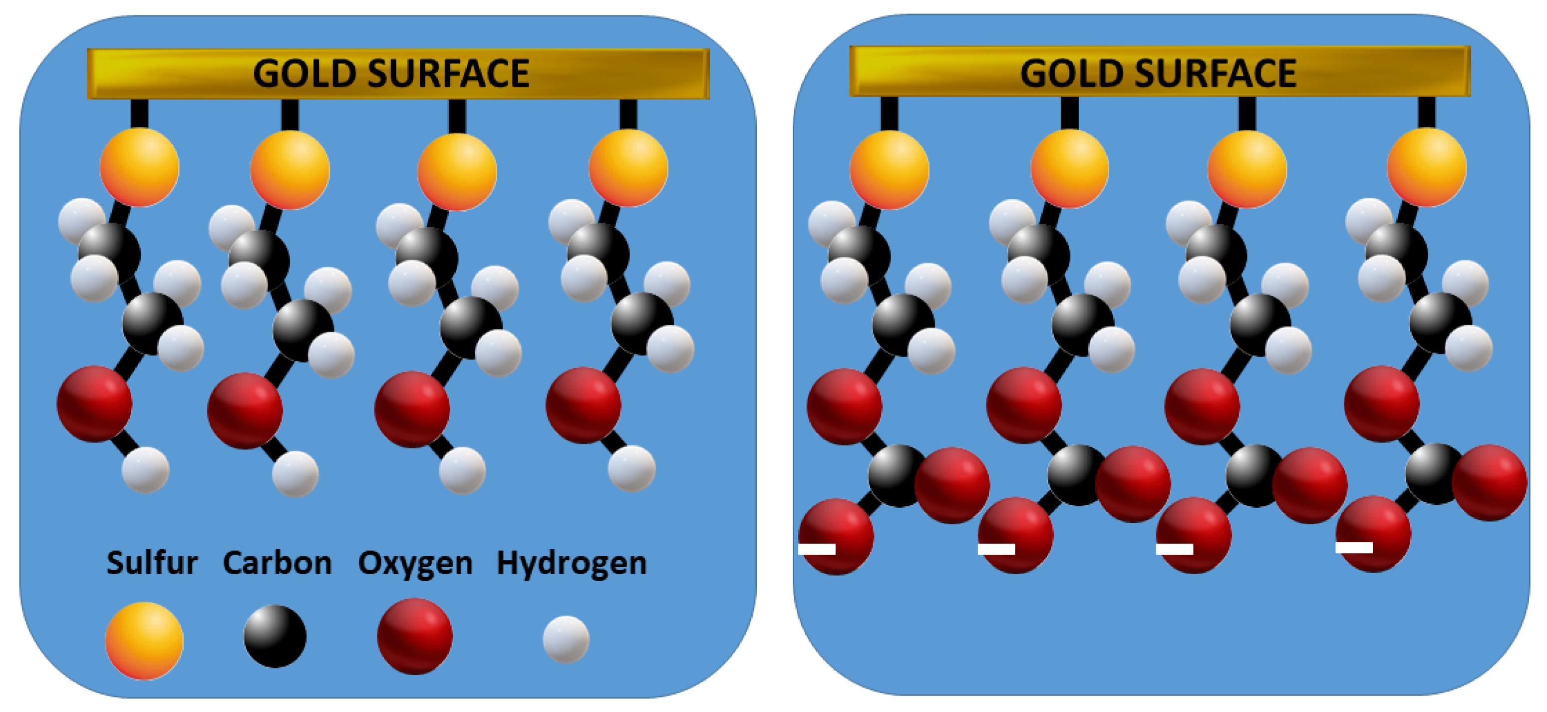 Chemosensors 13 00093 g002