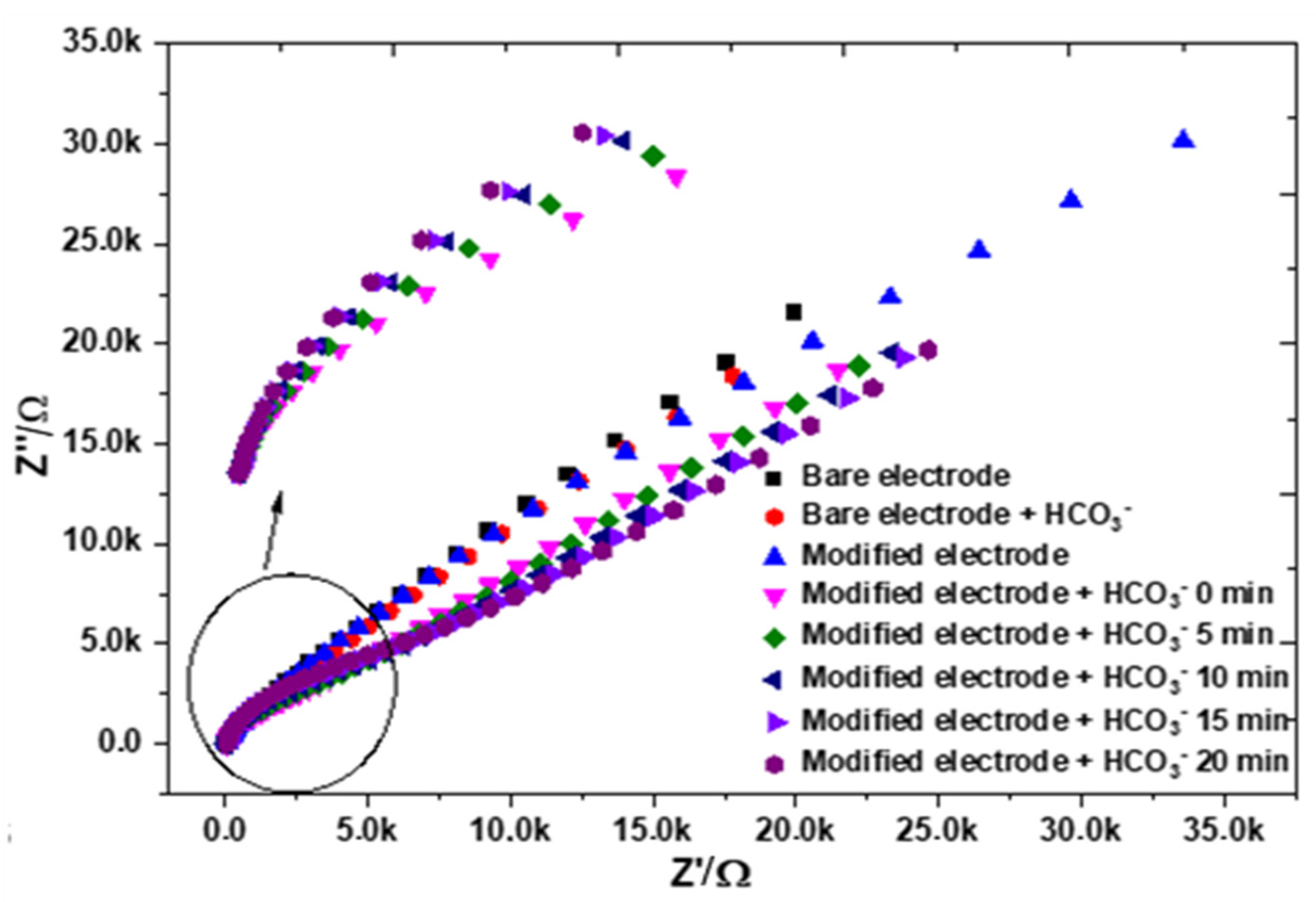 Chemosensors 13 00093 g005