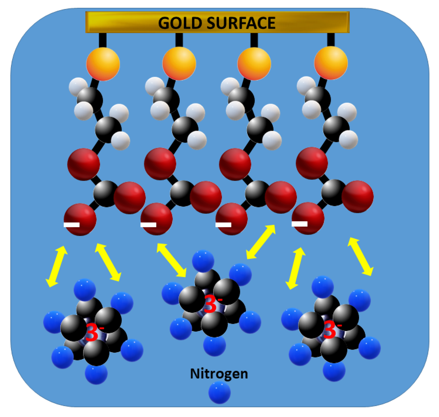Chemosensors 13 00093 g006