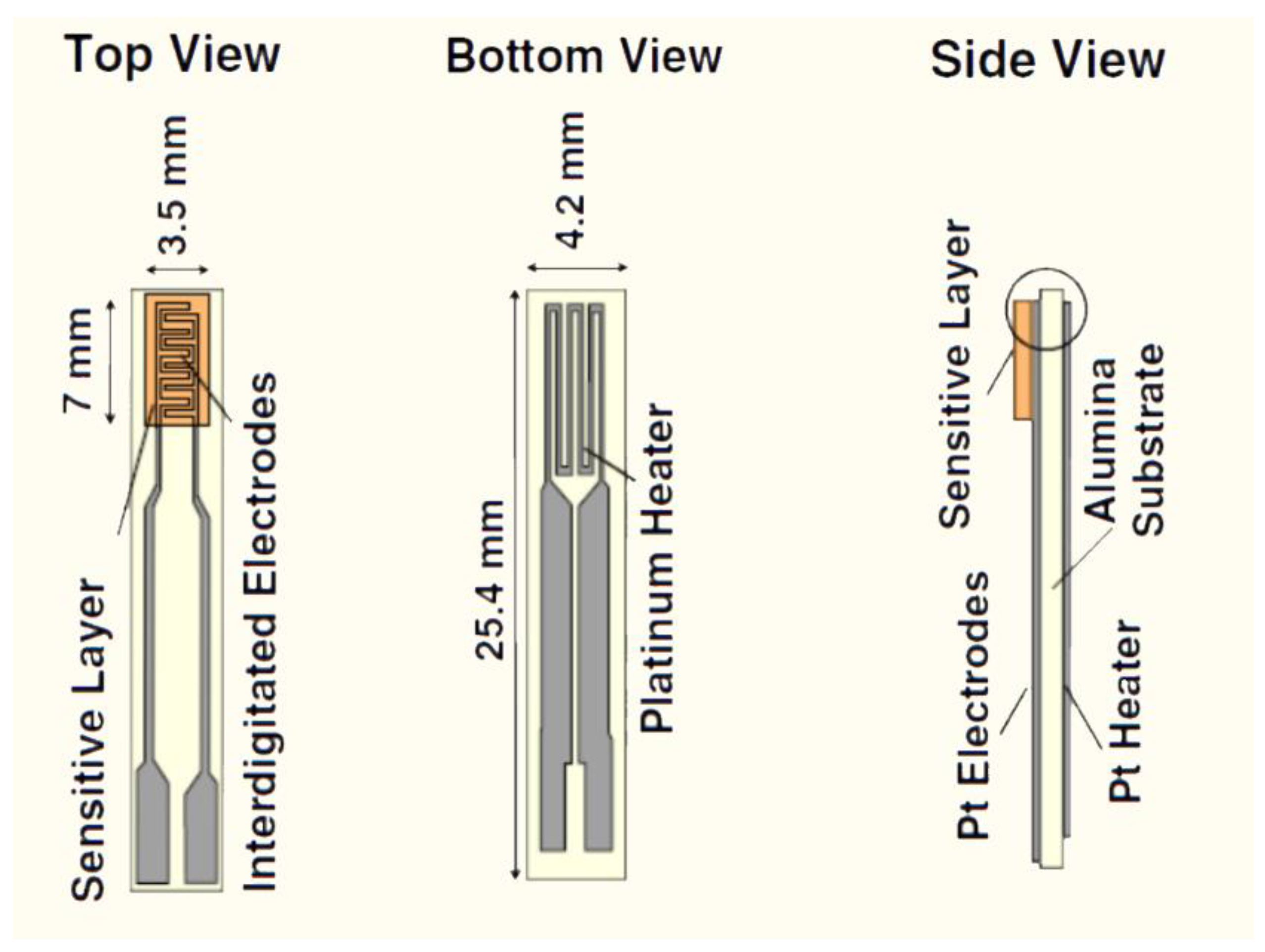 Chemosensors 13 00096 g001