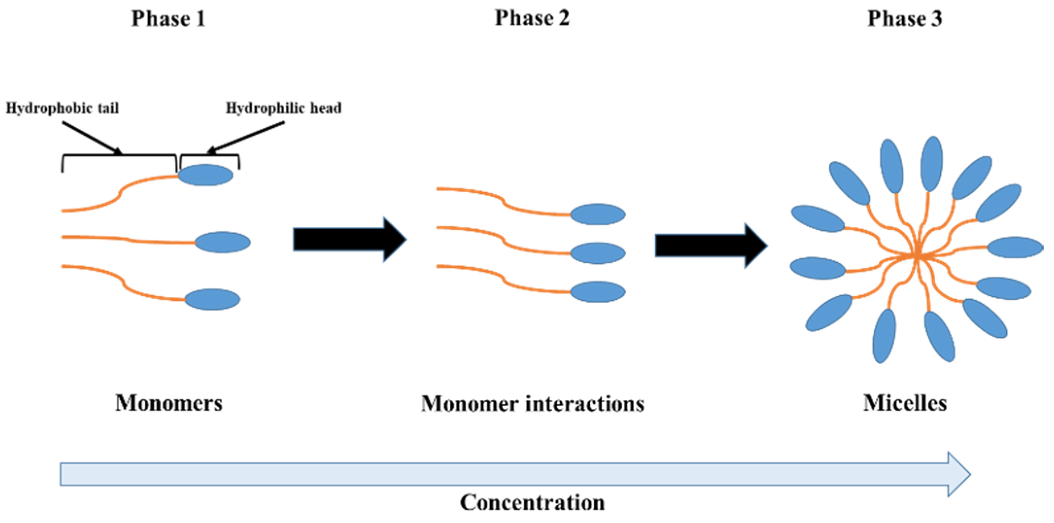Chemosensors 13 00099 sch001