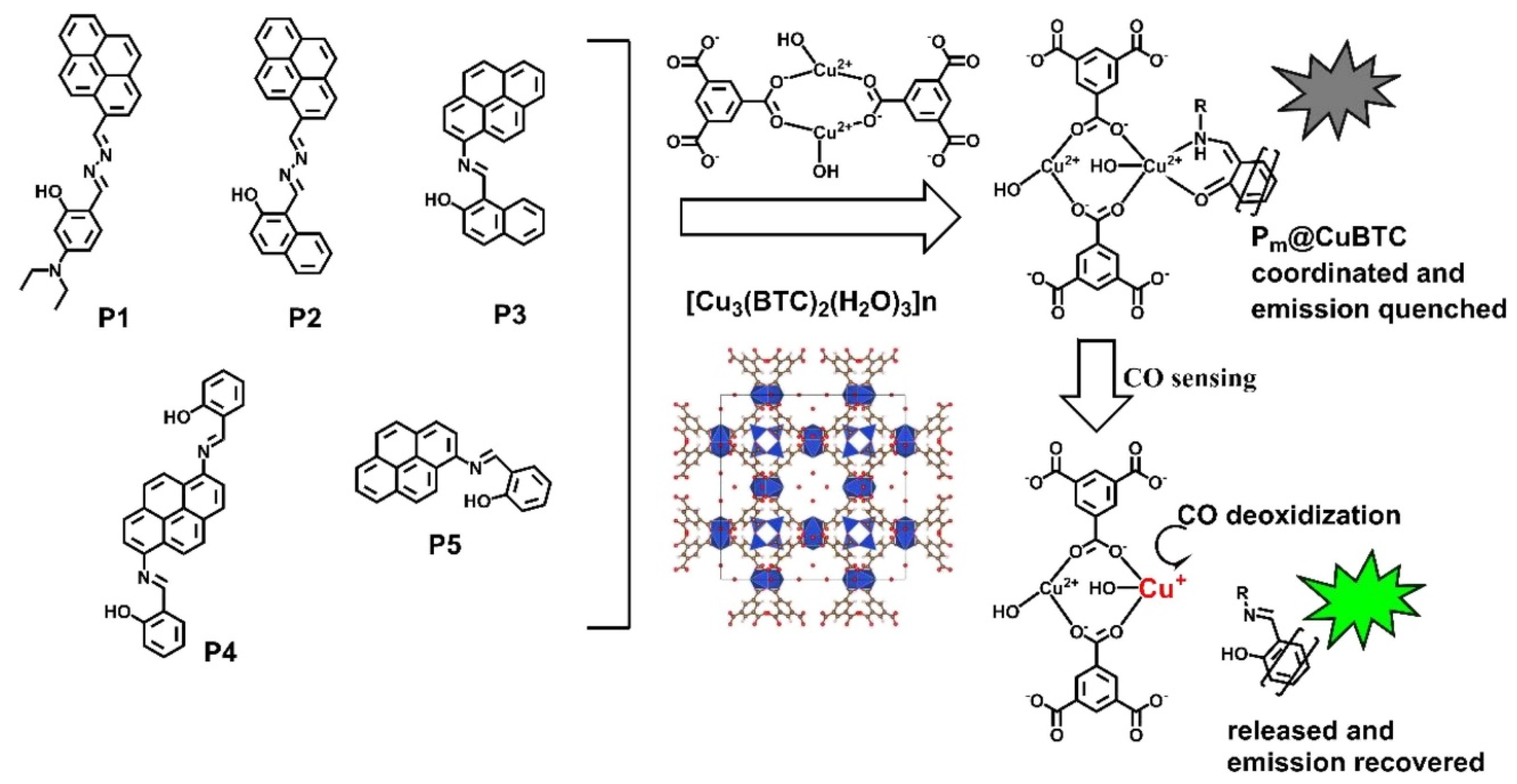 Chemosensors 13 00100 g002