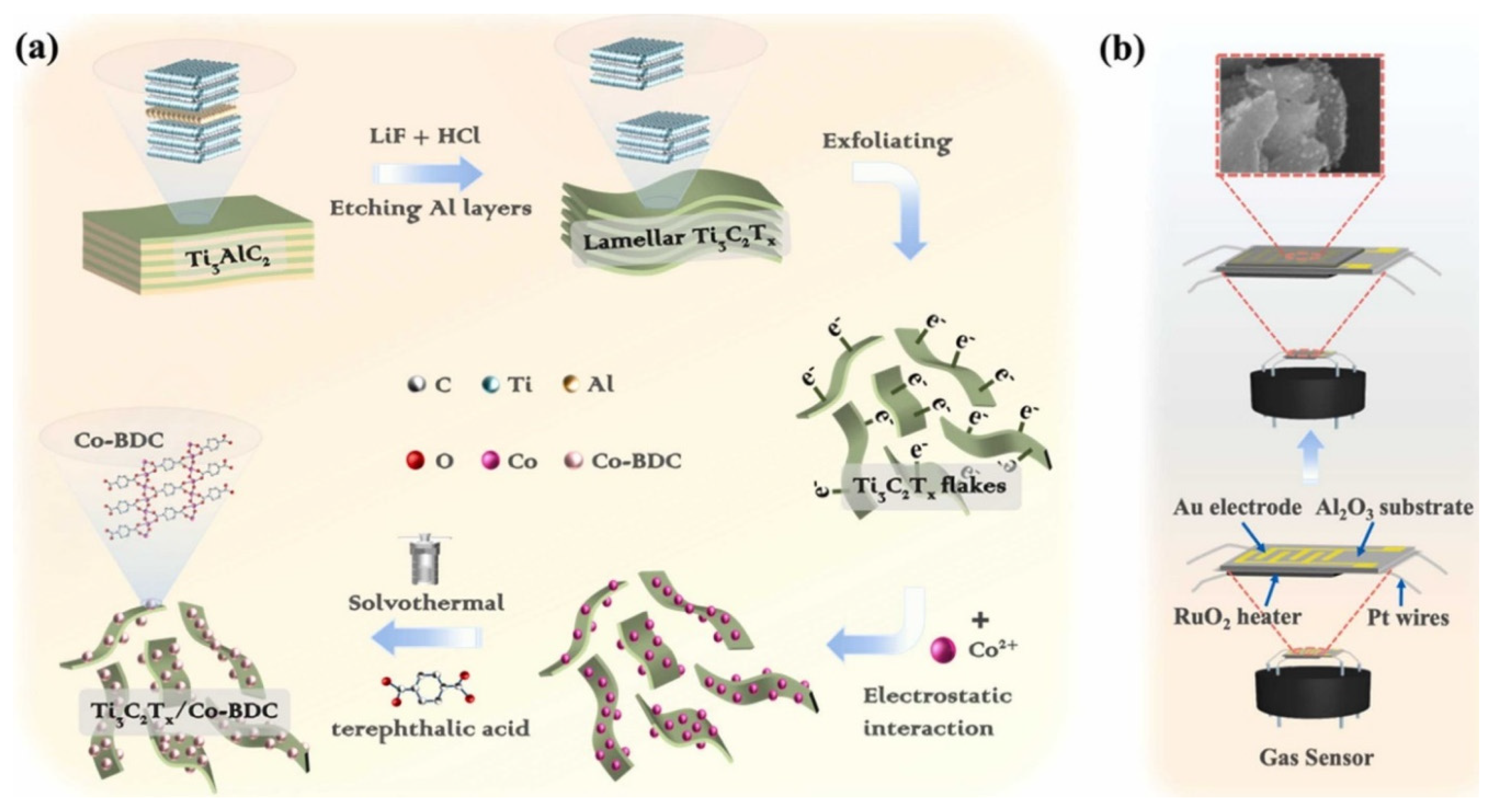 Chemosensors 13 00100 g010