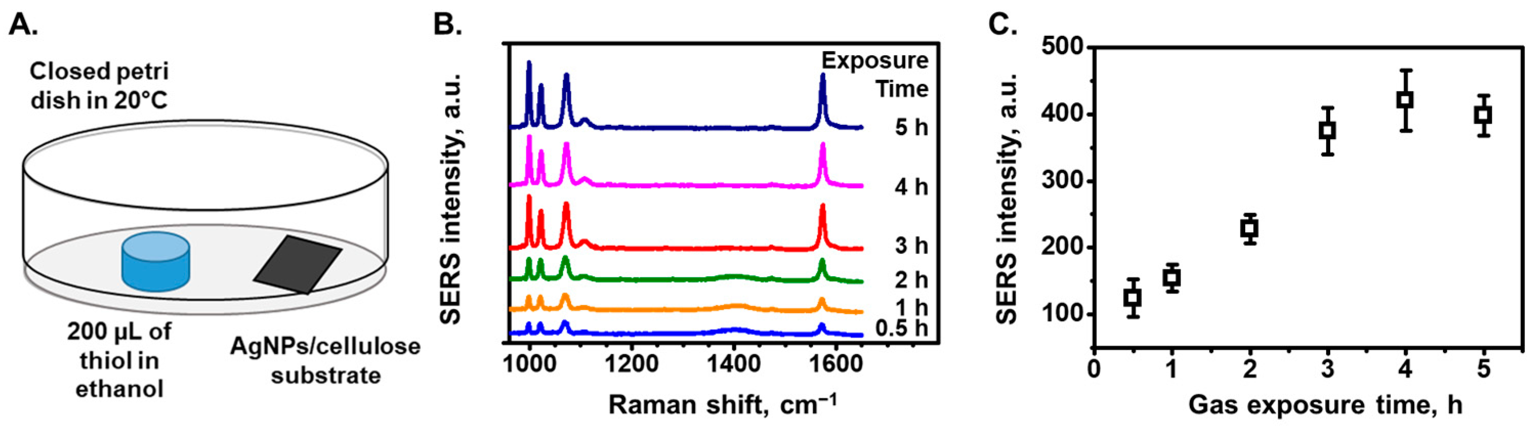 Chemosensors 13 00101 g004