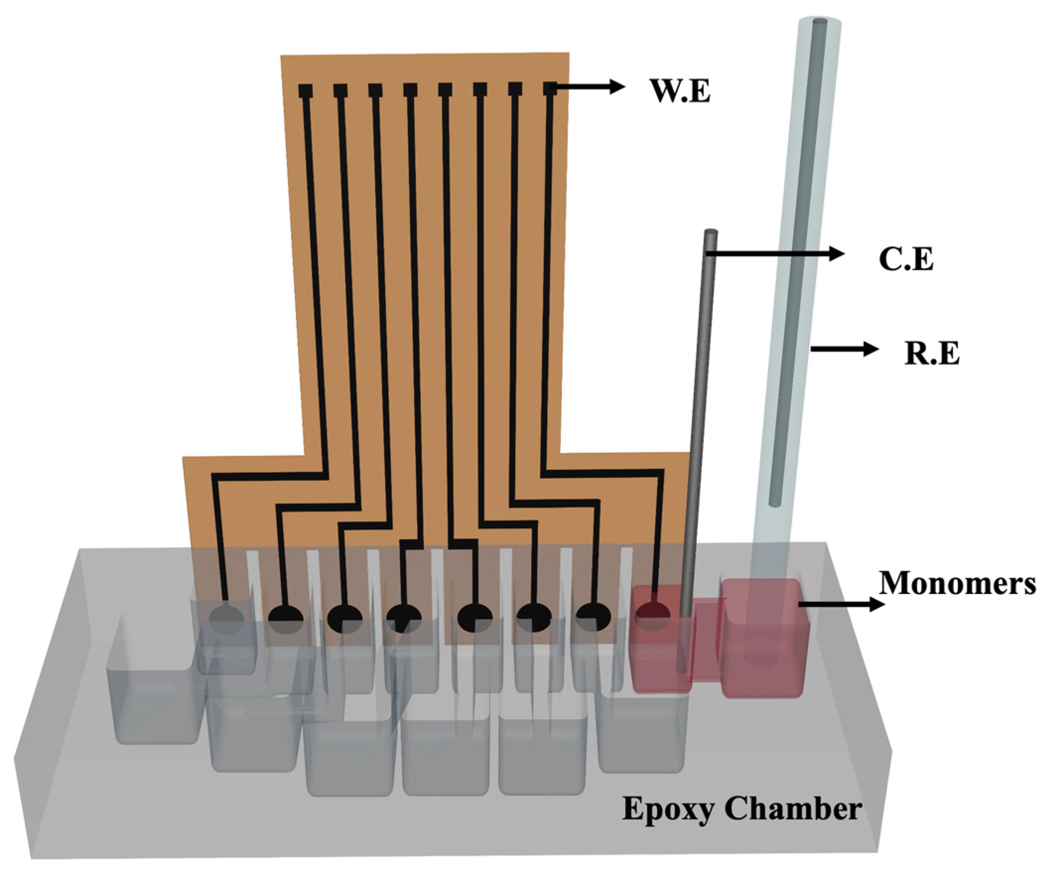 Chemosensors 13 00108 g002