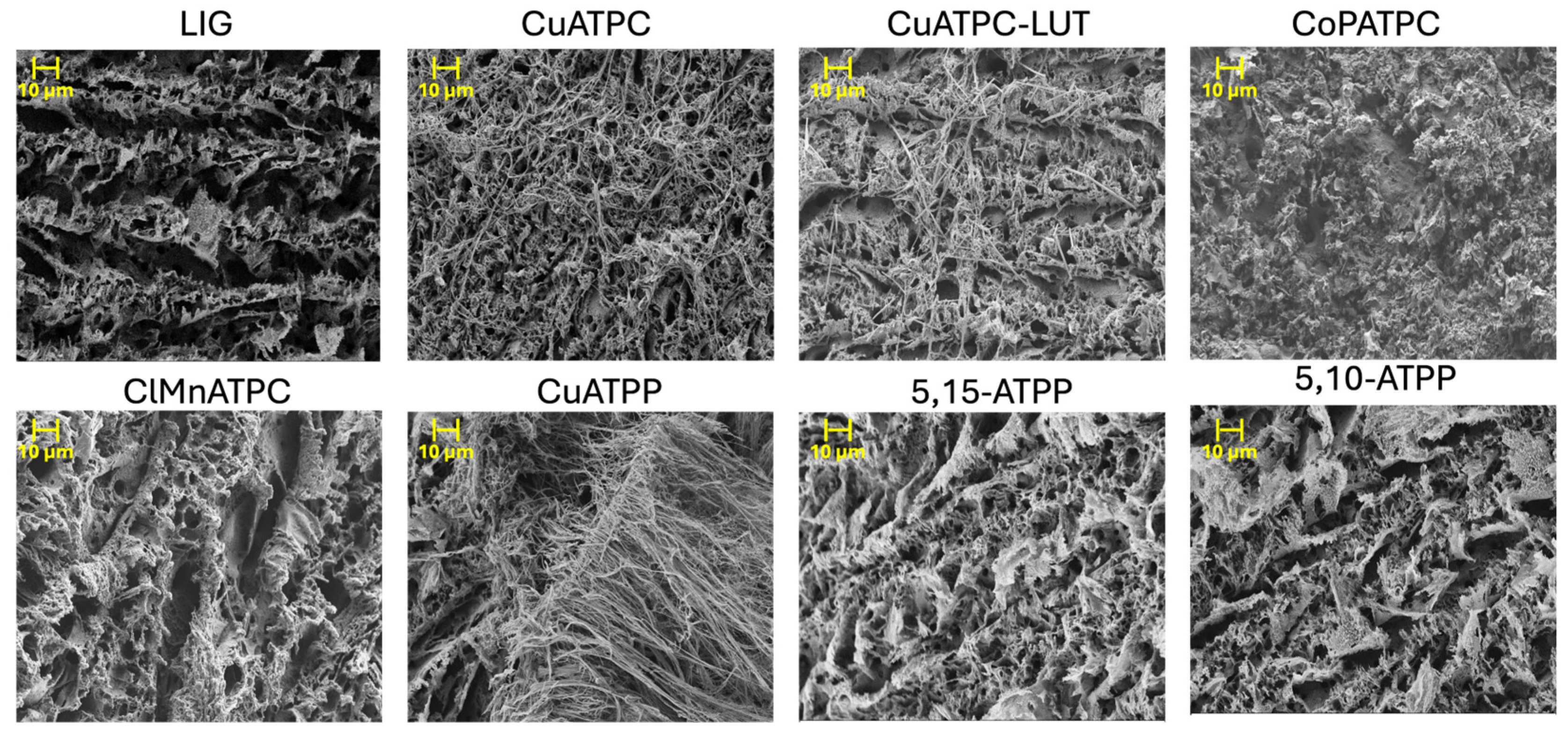 Chemosensors 13 00108 g006