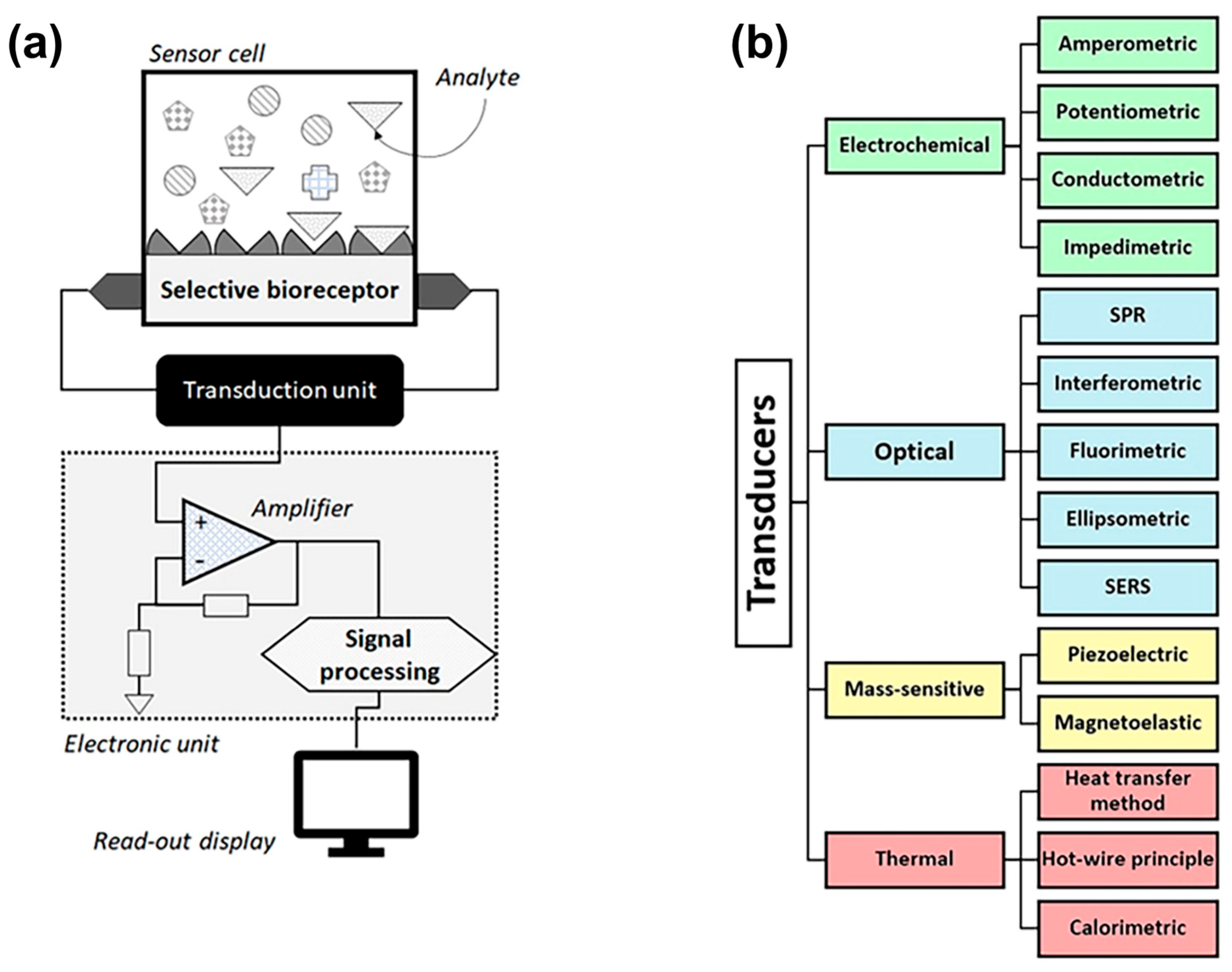 Chemosensors 13 00113 g002