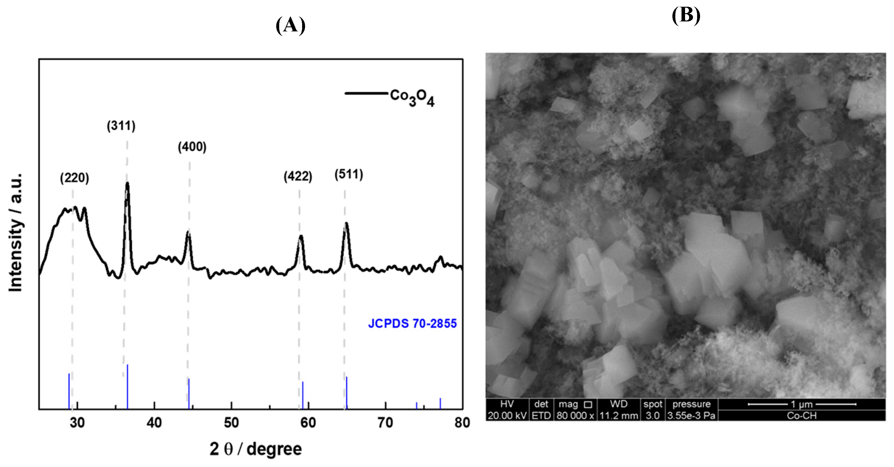 Chemosensors 13 00114 g001