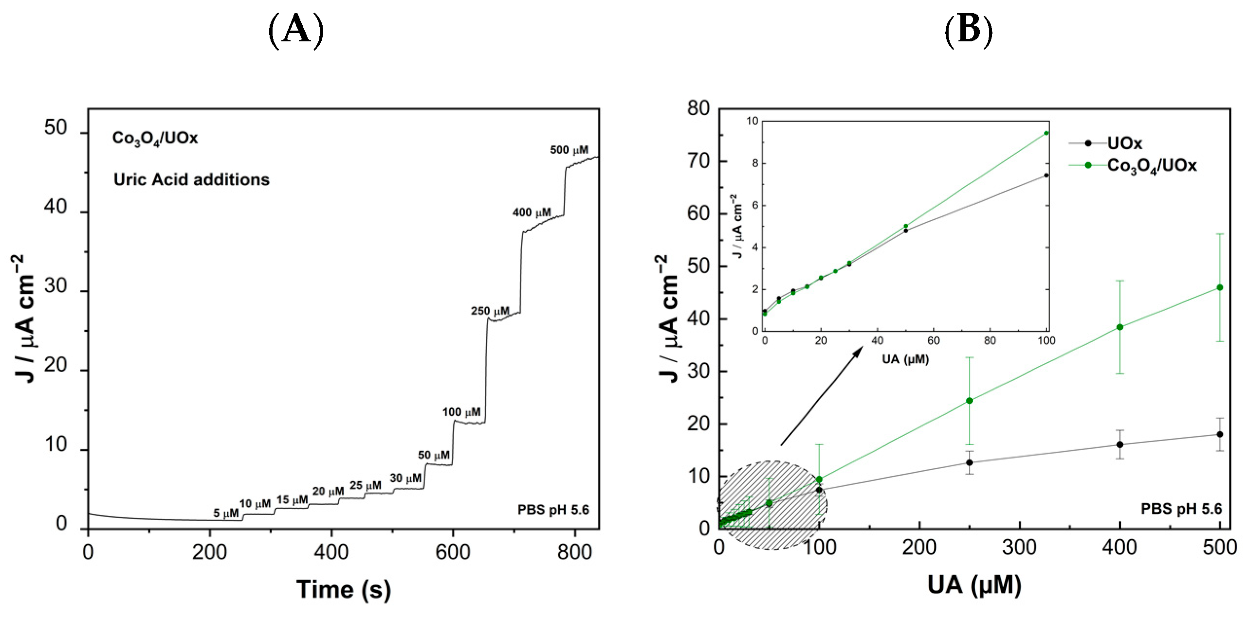 Chemosensors 13 00114 g004
