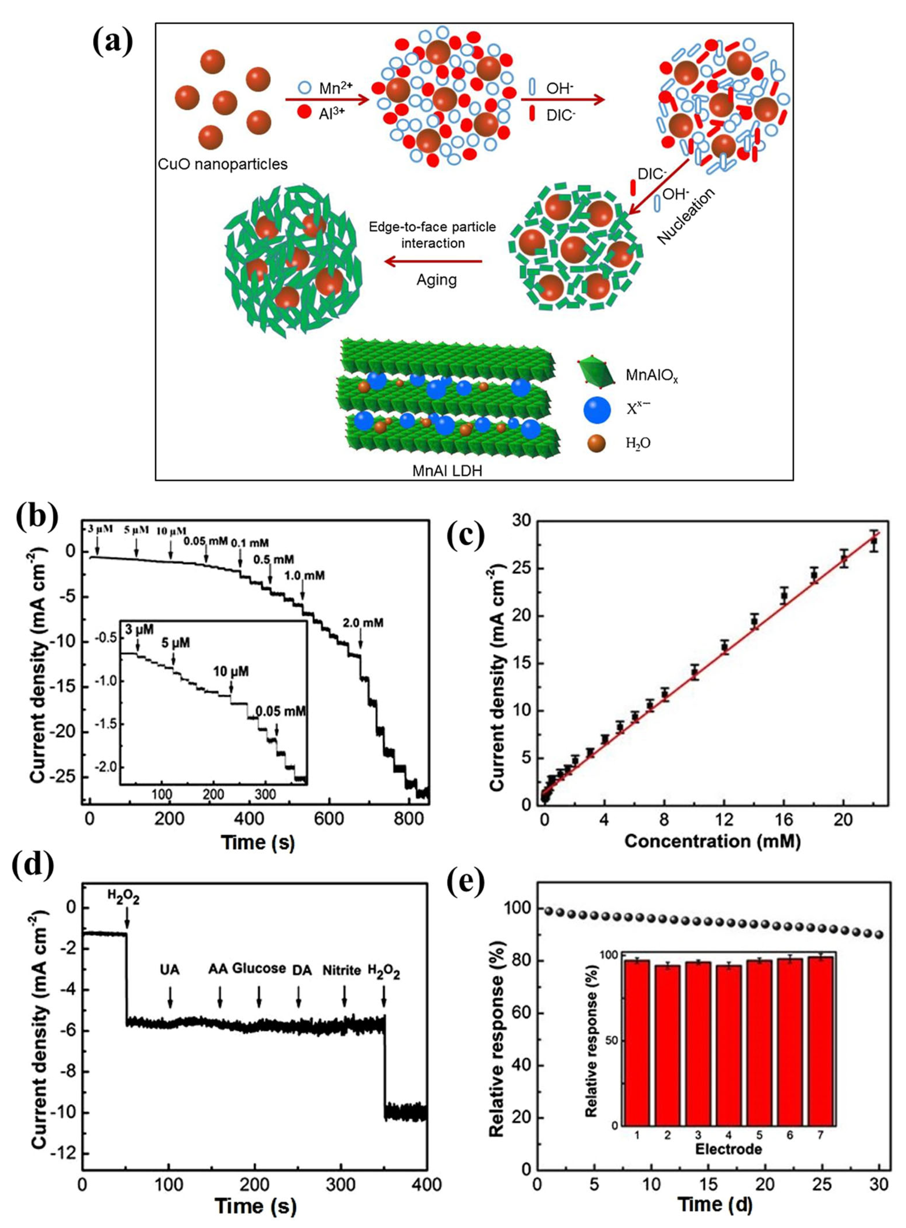Chemosensors 13 00115 g007
