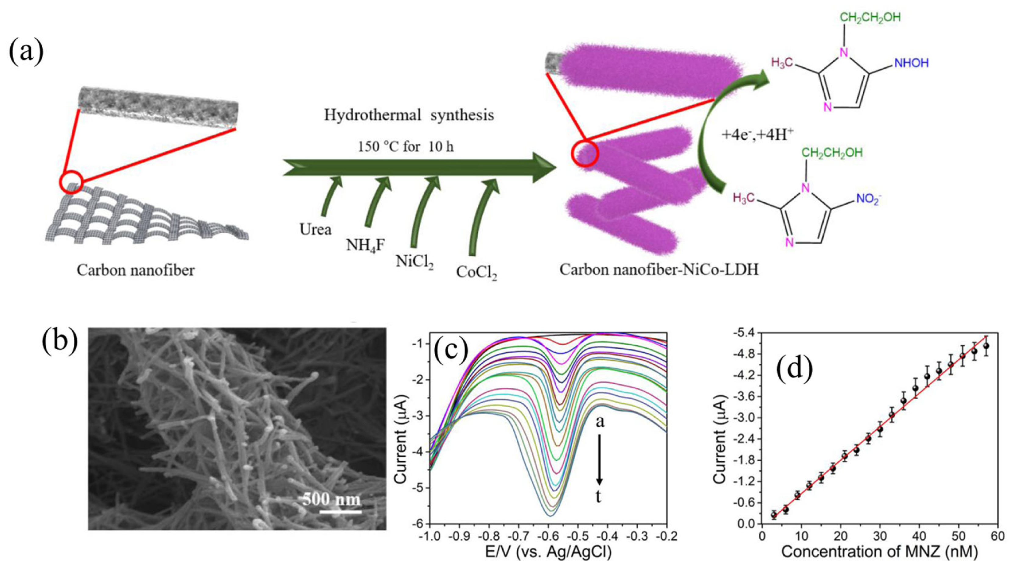 Chemosensors 13 00115 g010