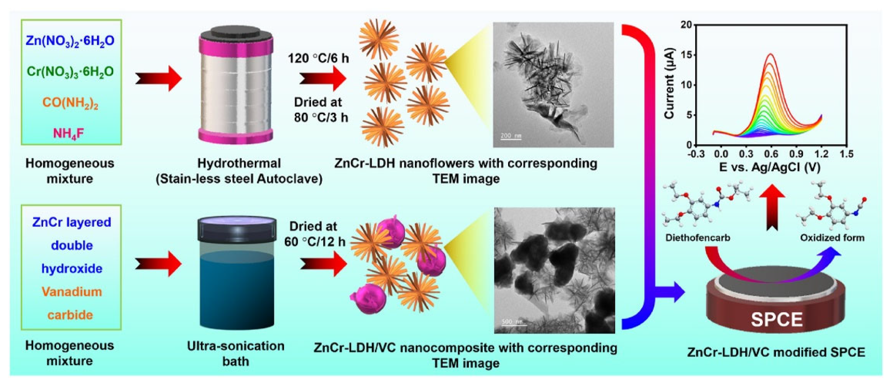 Chemosensors 13 00115 g013