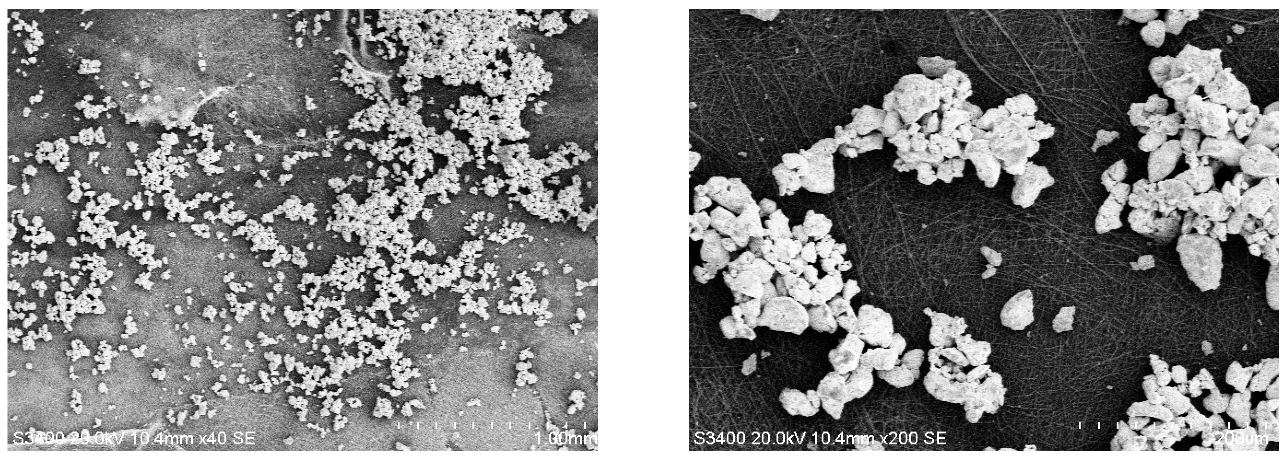 Chemosensors 13 00117 g006