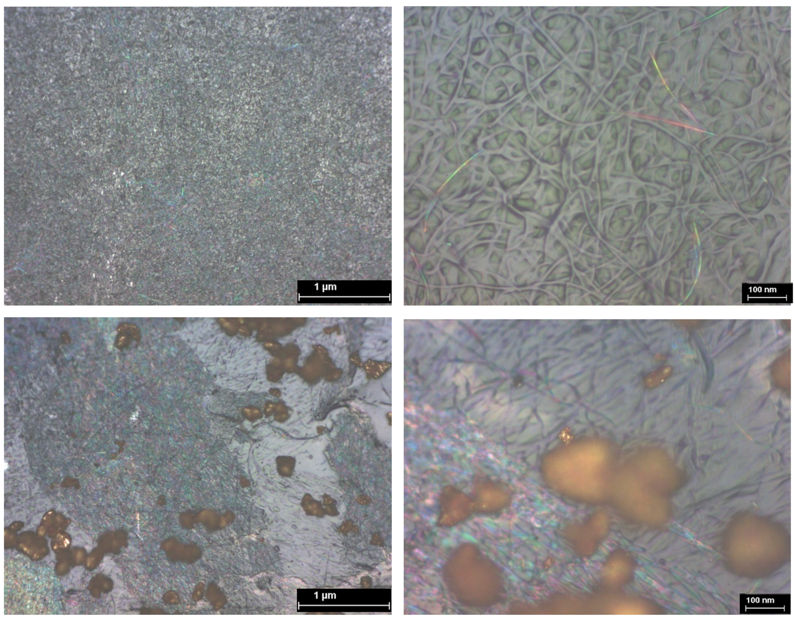 Chemosensors 13 00117 g010