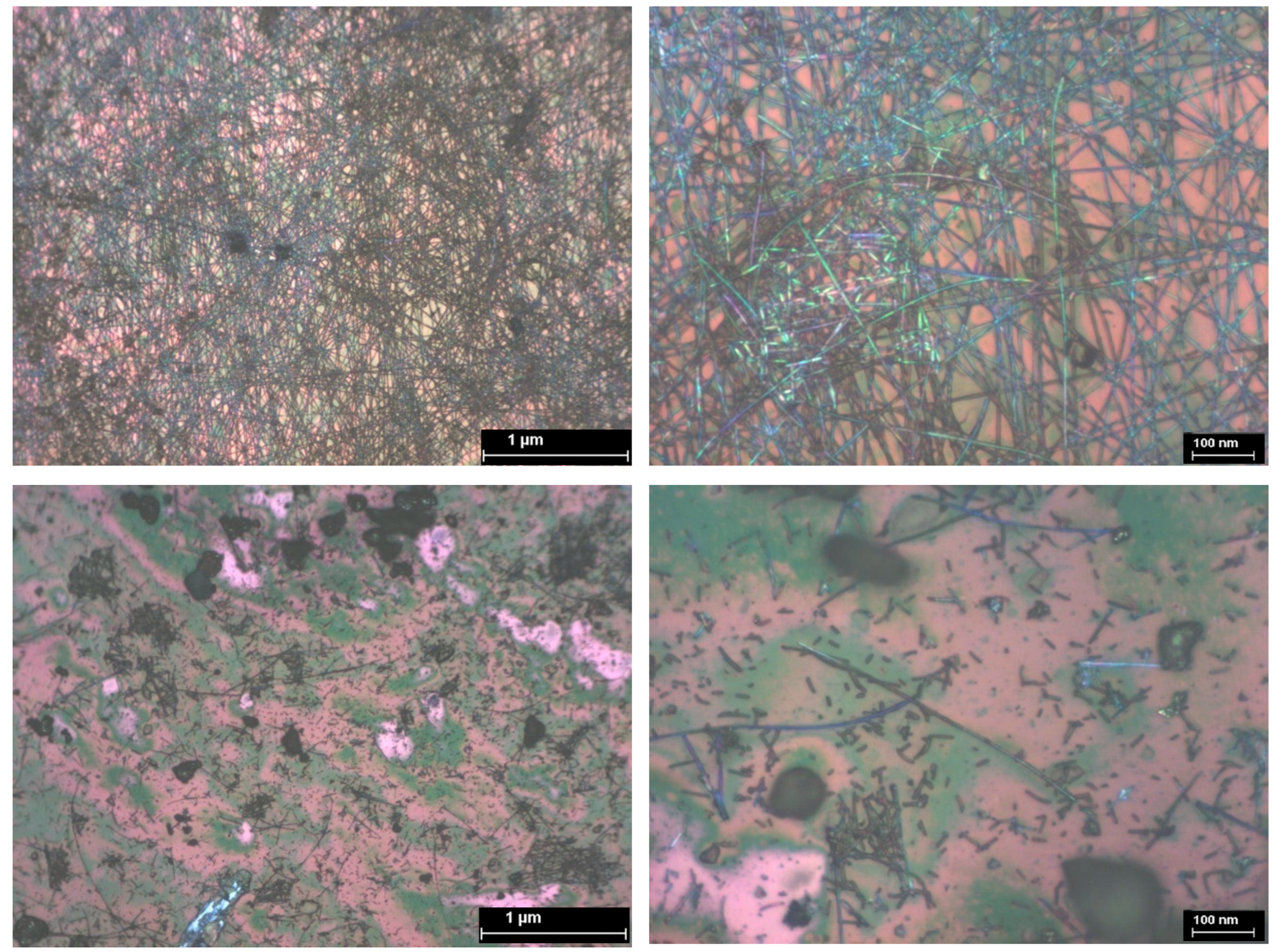 Chemosensors 13 00117 g011