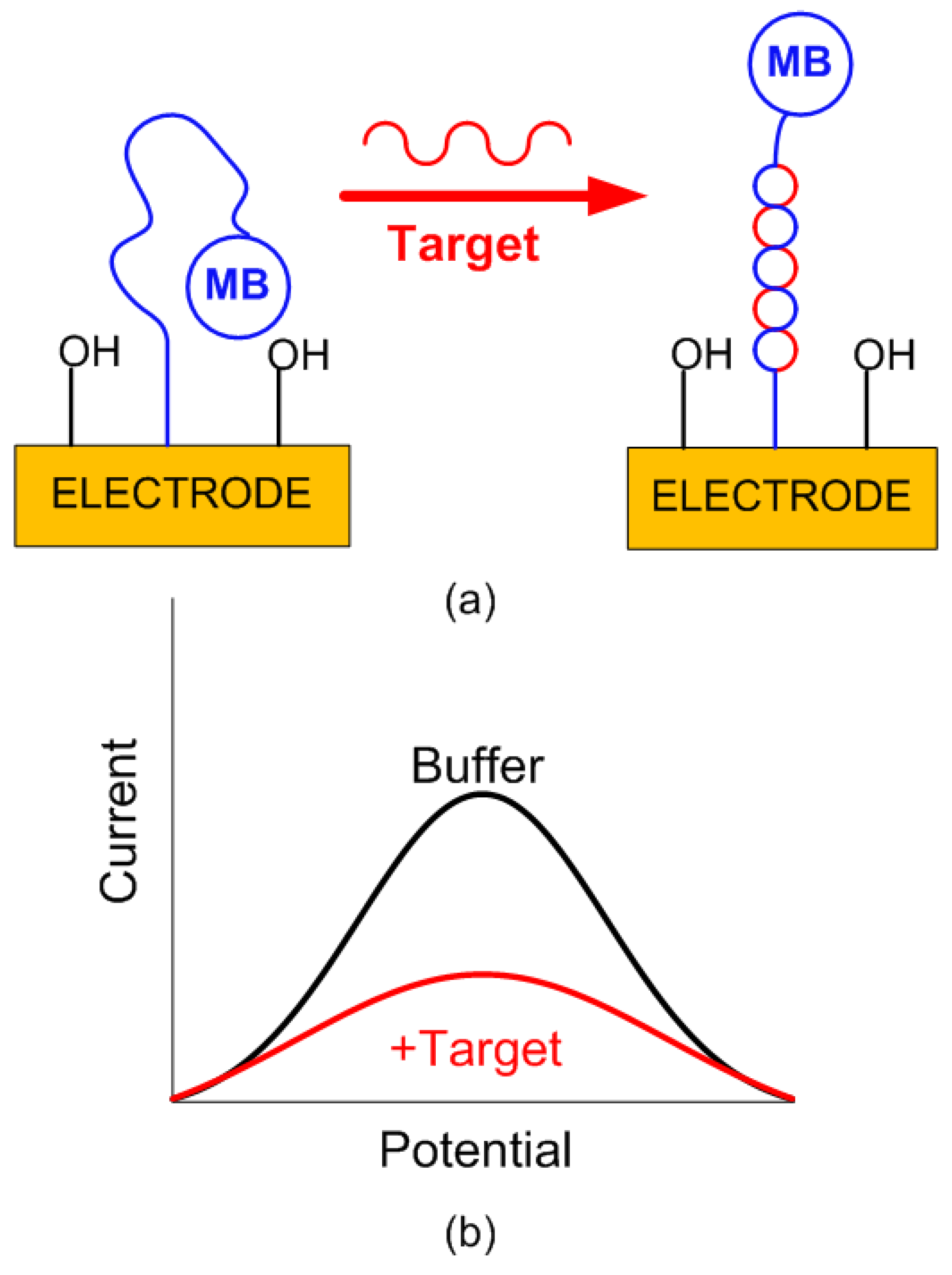 Chemosensors 13 00119 g005