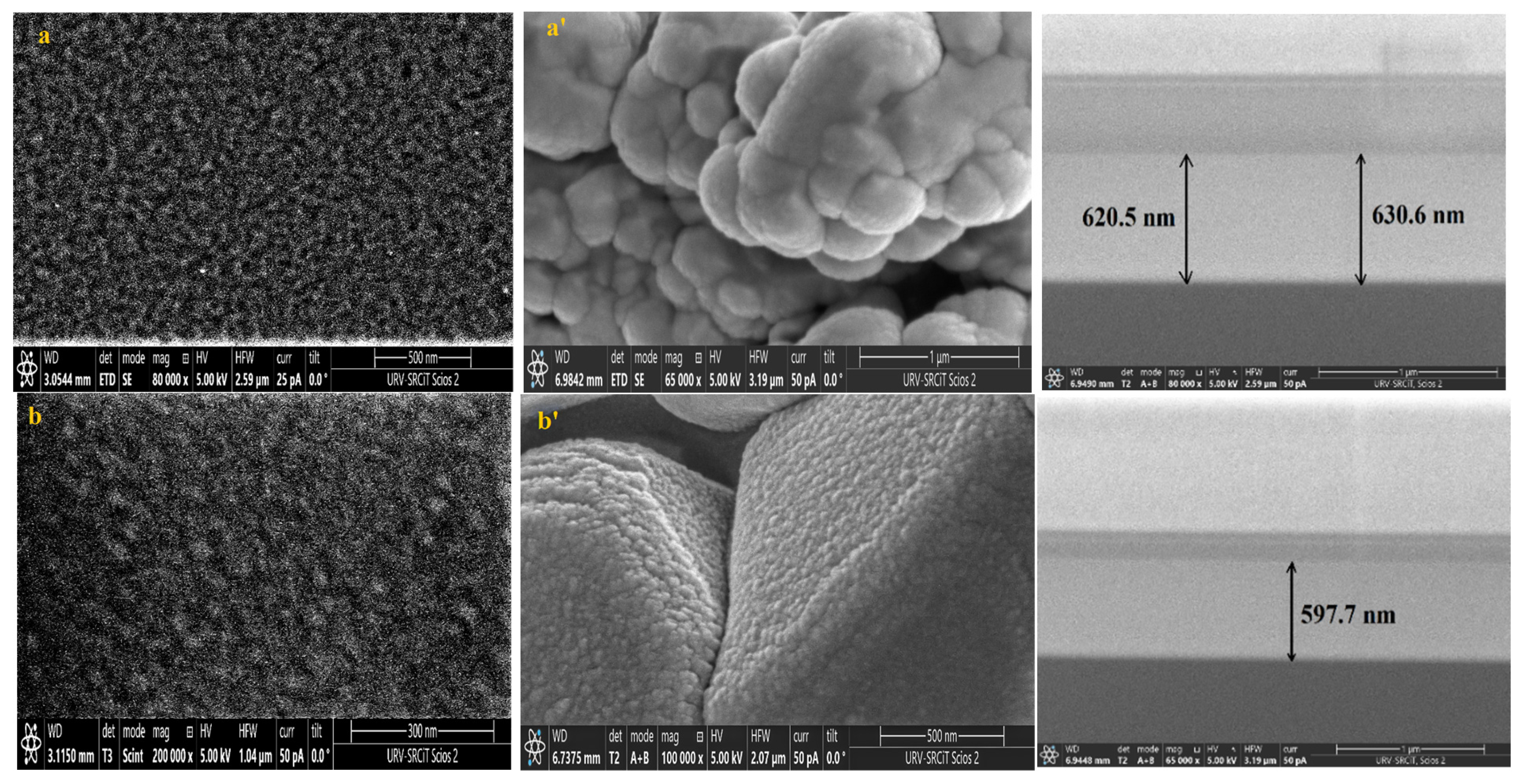 Chemosensors 13 00121 g008a